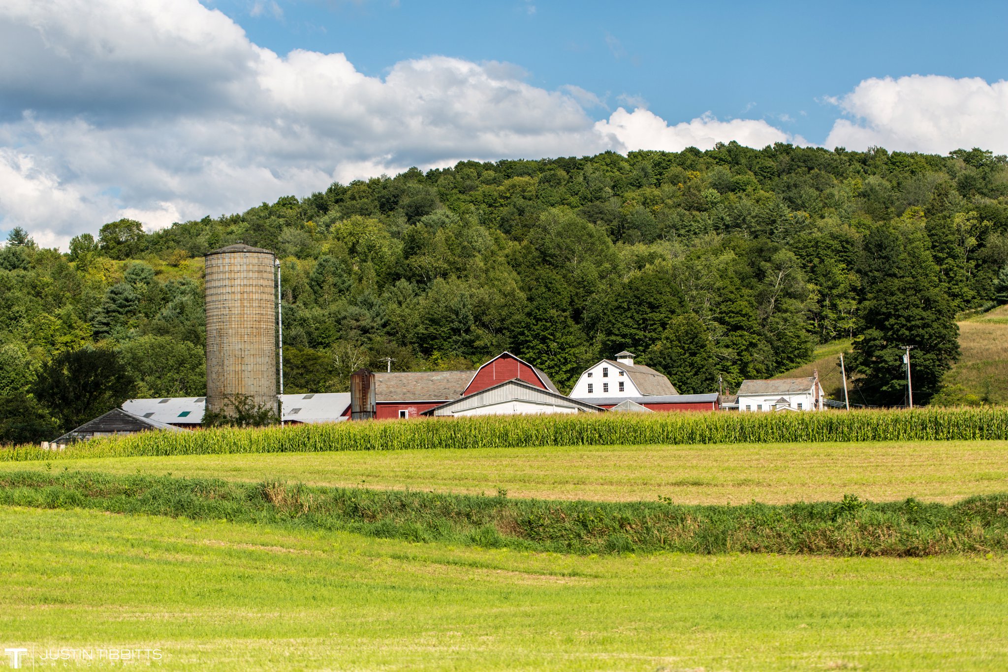 The barn from cornfield.jpg