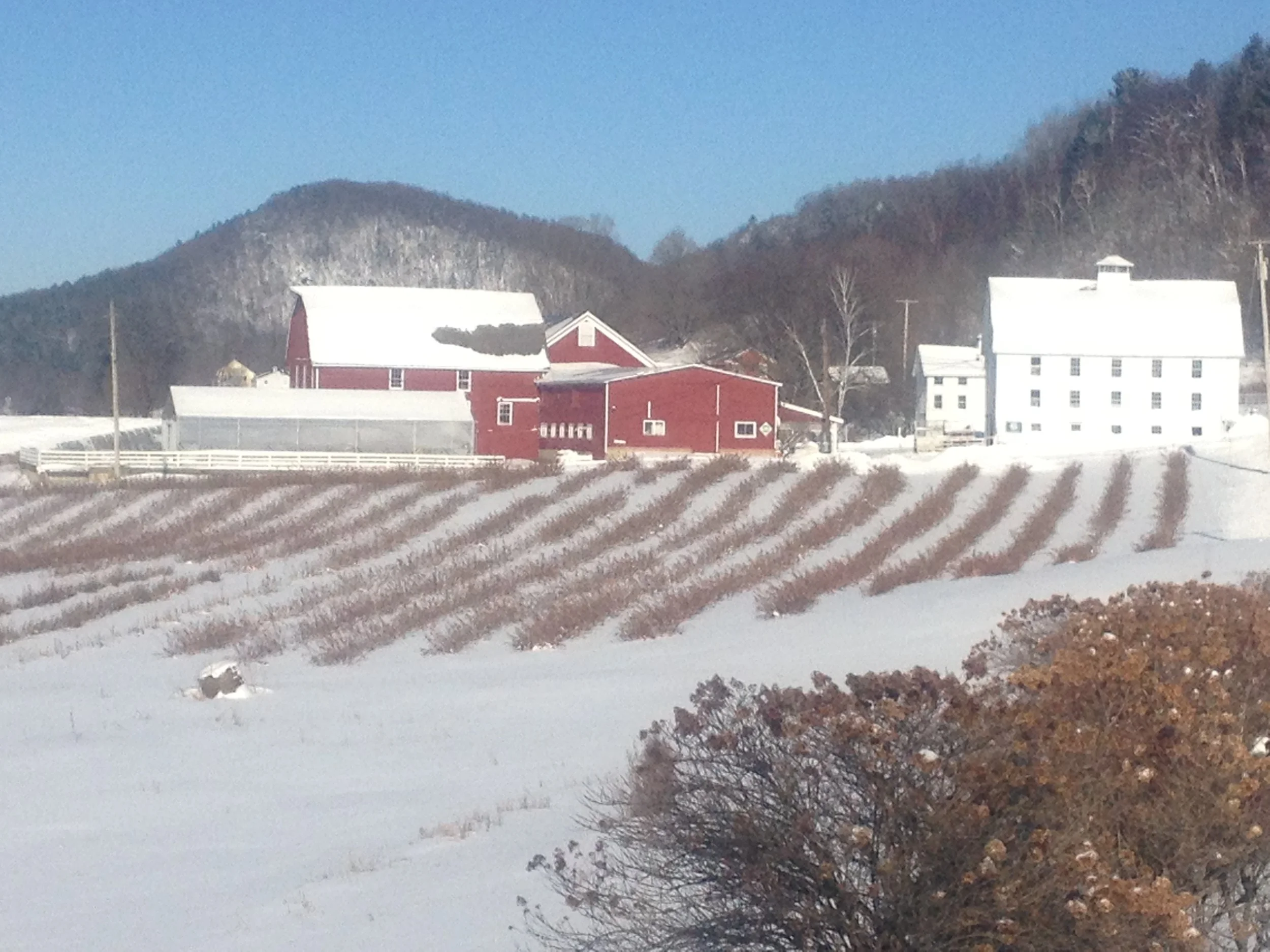 Winter Gardenworks.jpg