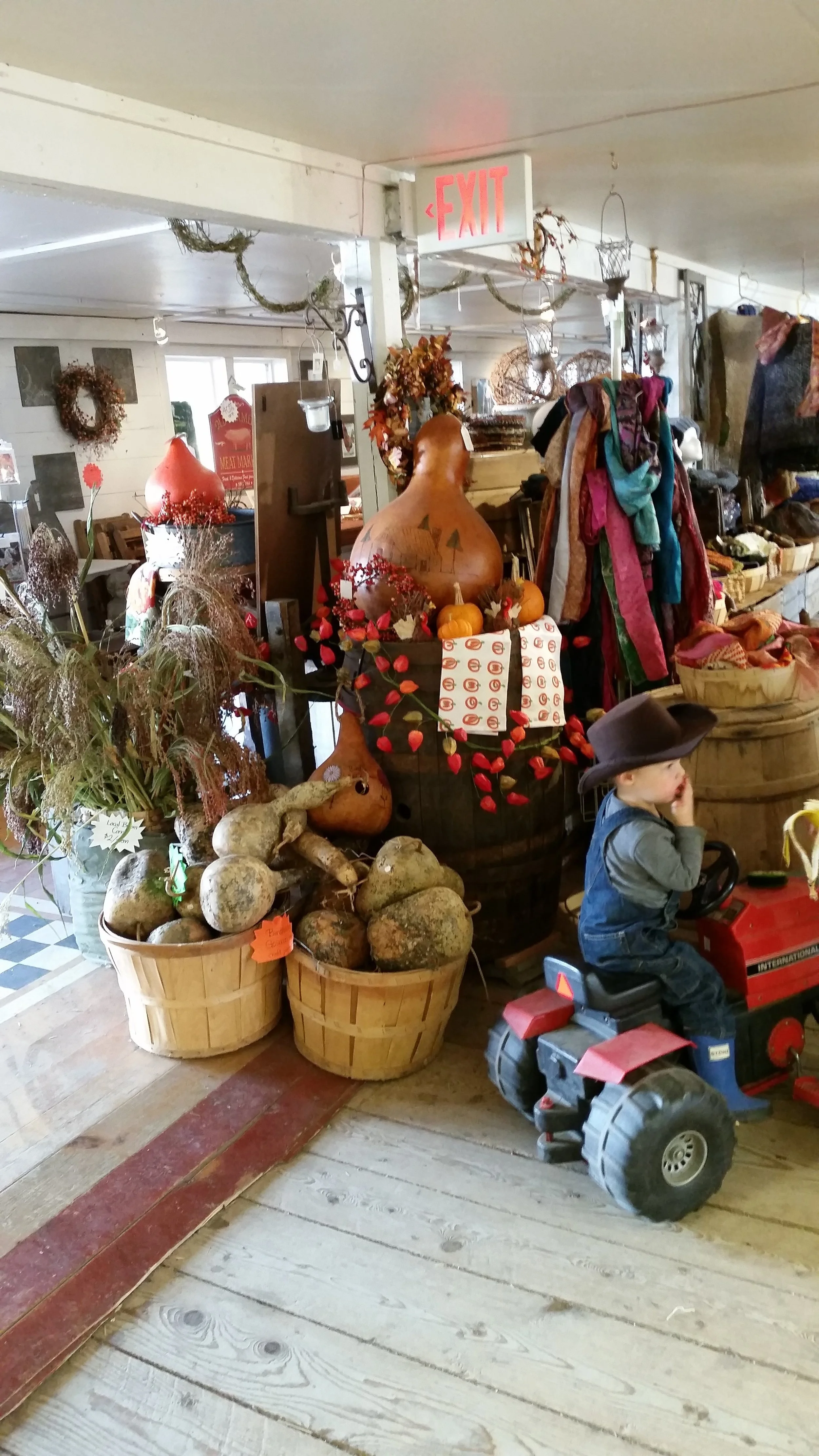 20161012_154459.jpg