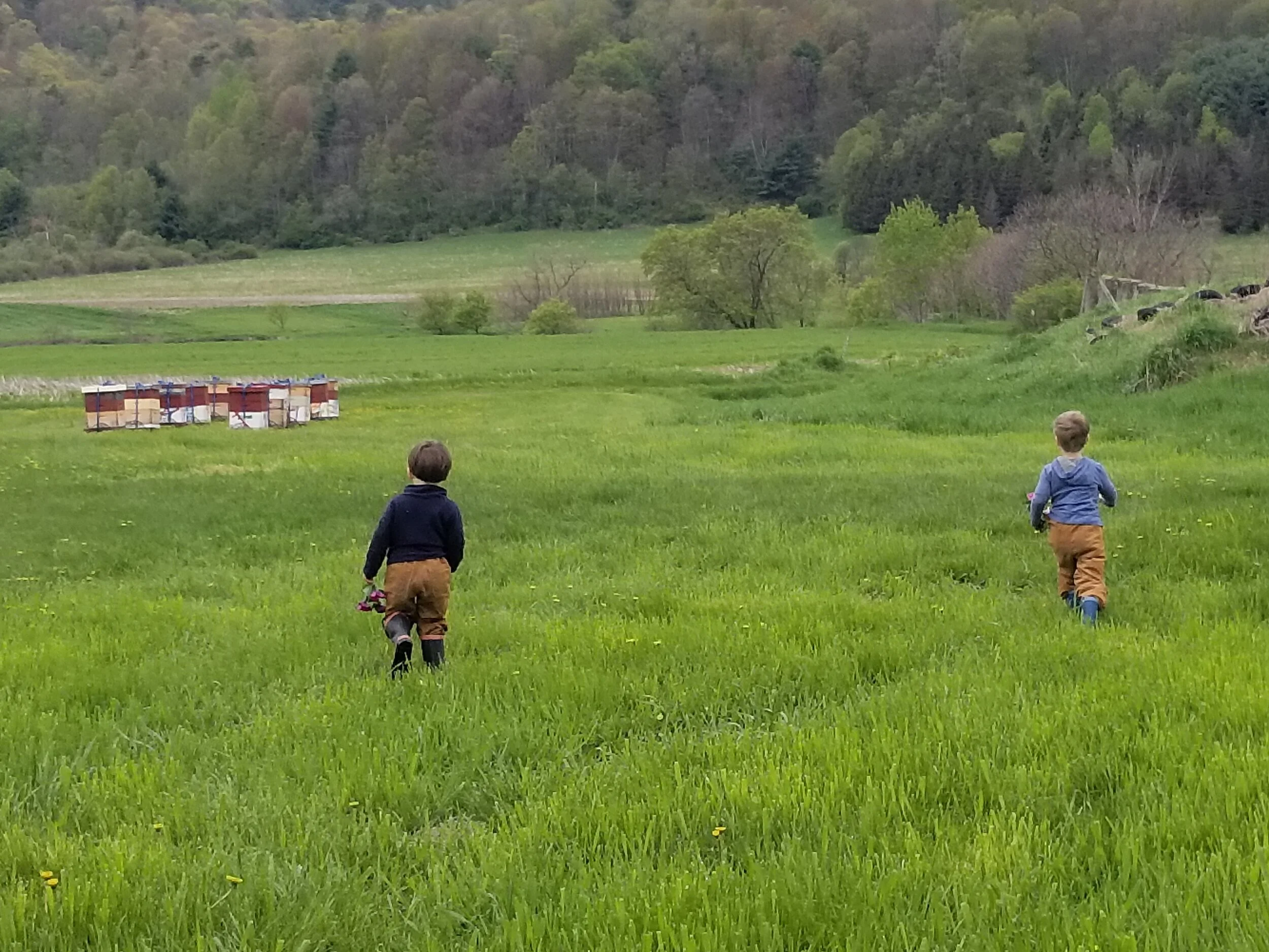 20190513_102059.jpg
