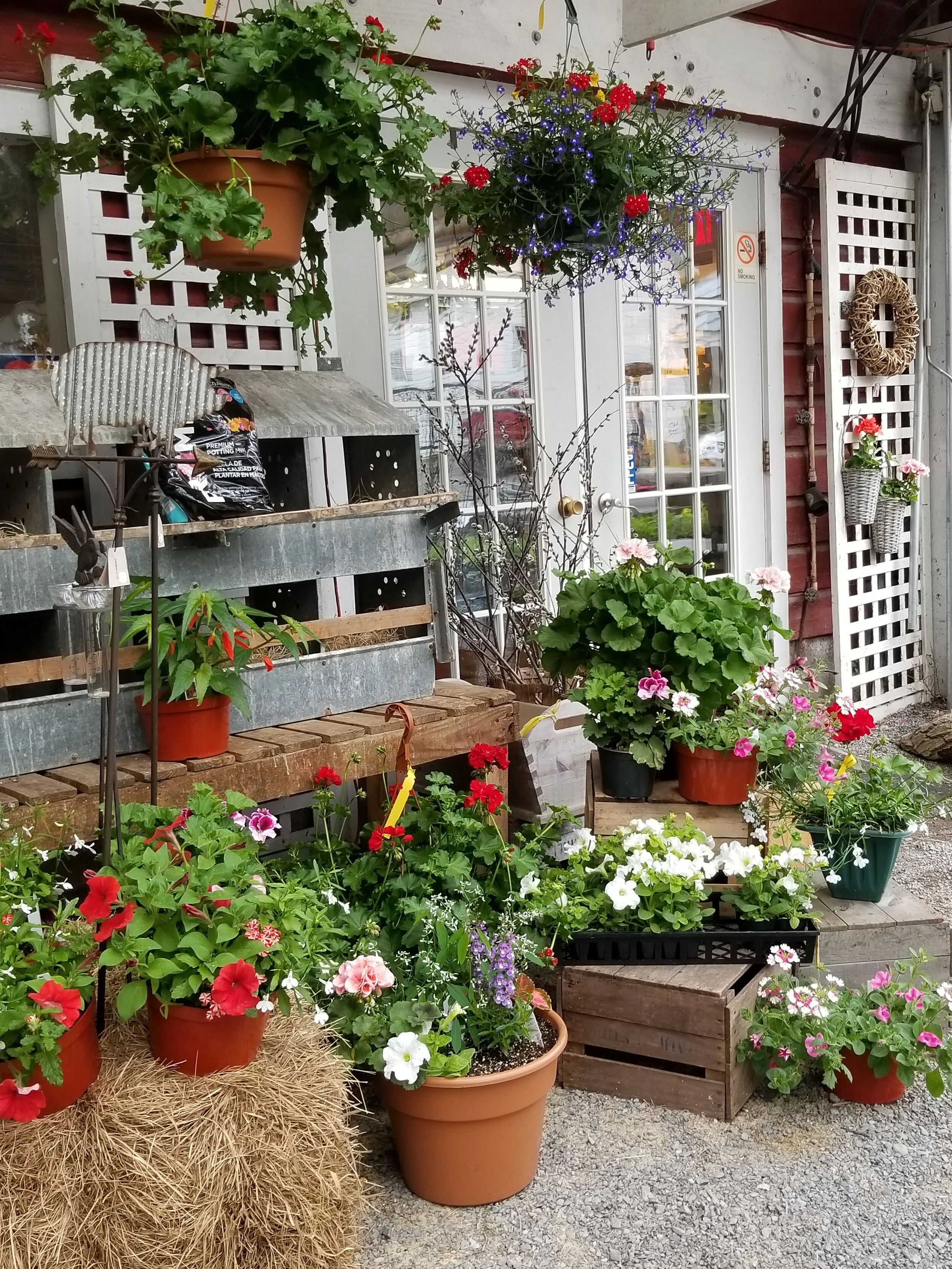 20190514_101438.jpg