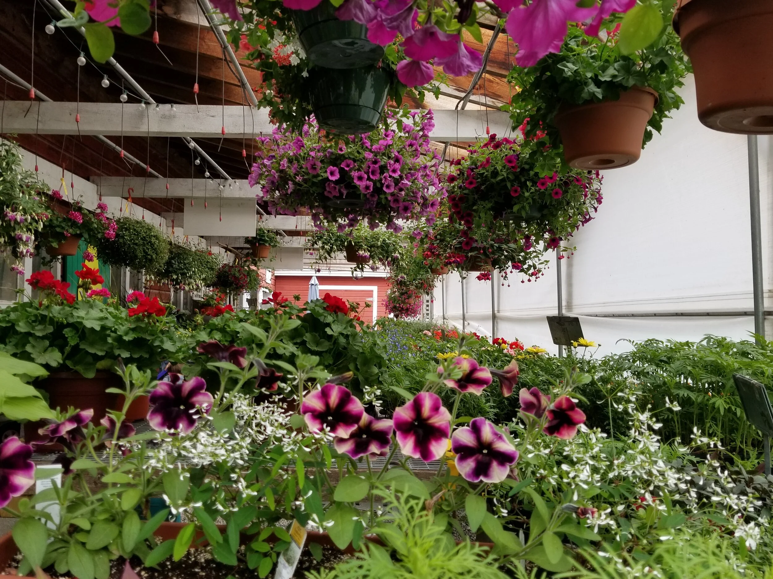 20190514_171229.jpg