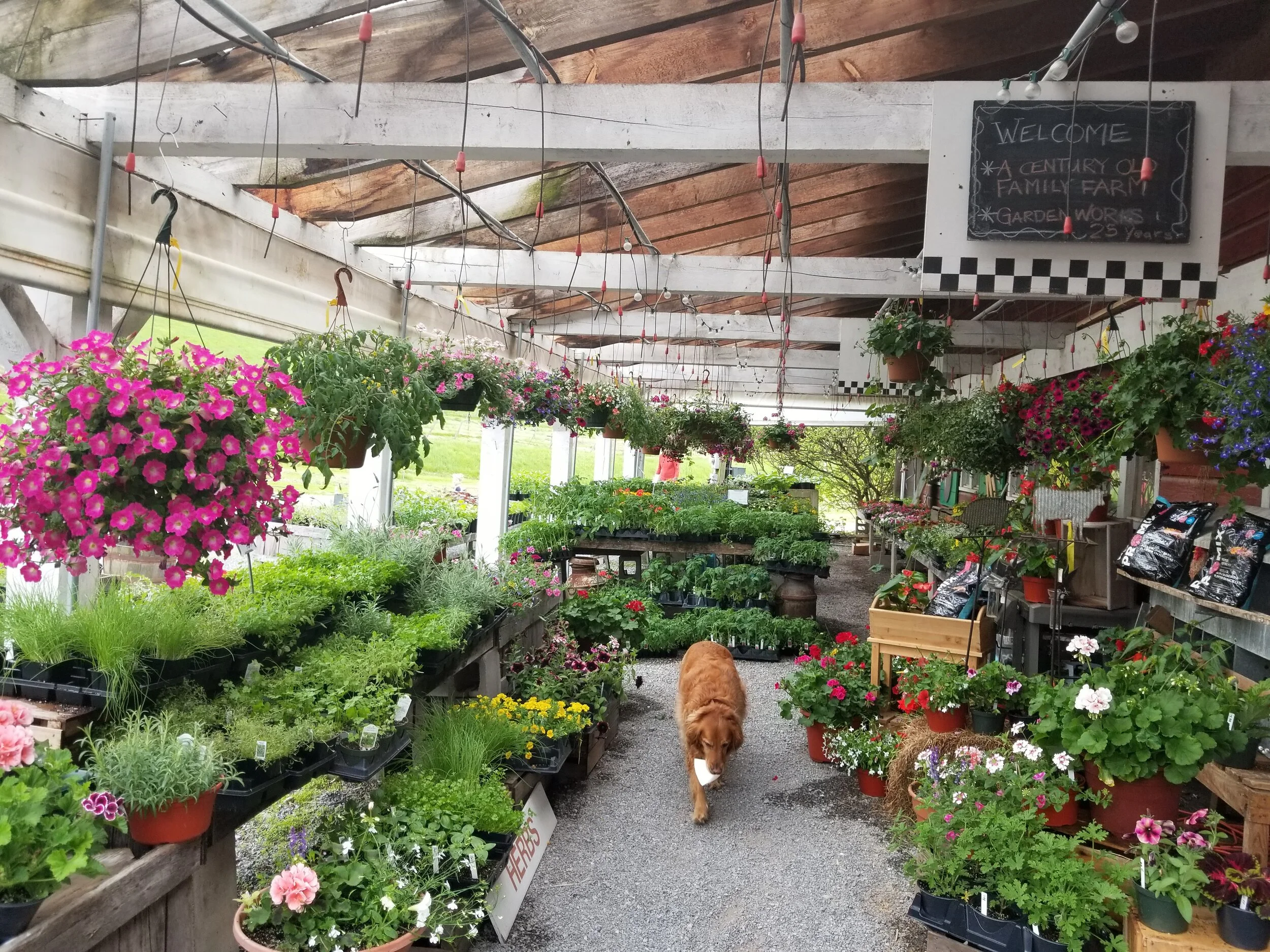 20190515_165306.jpg