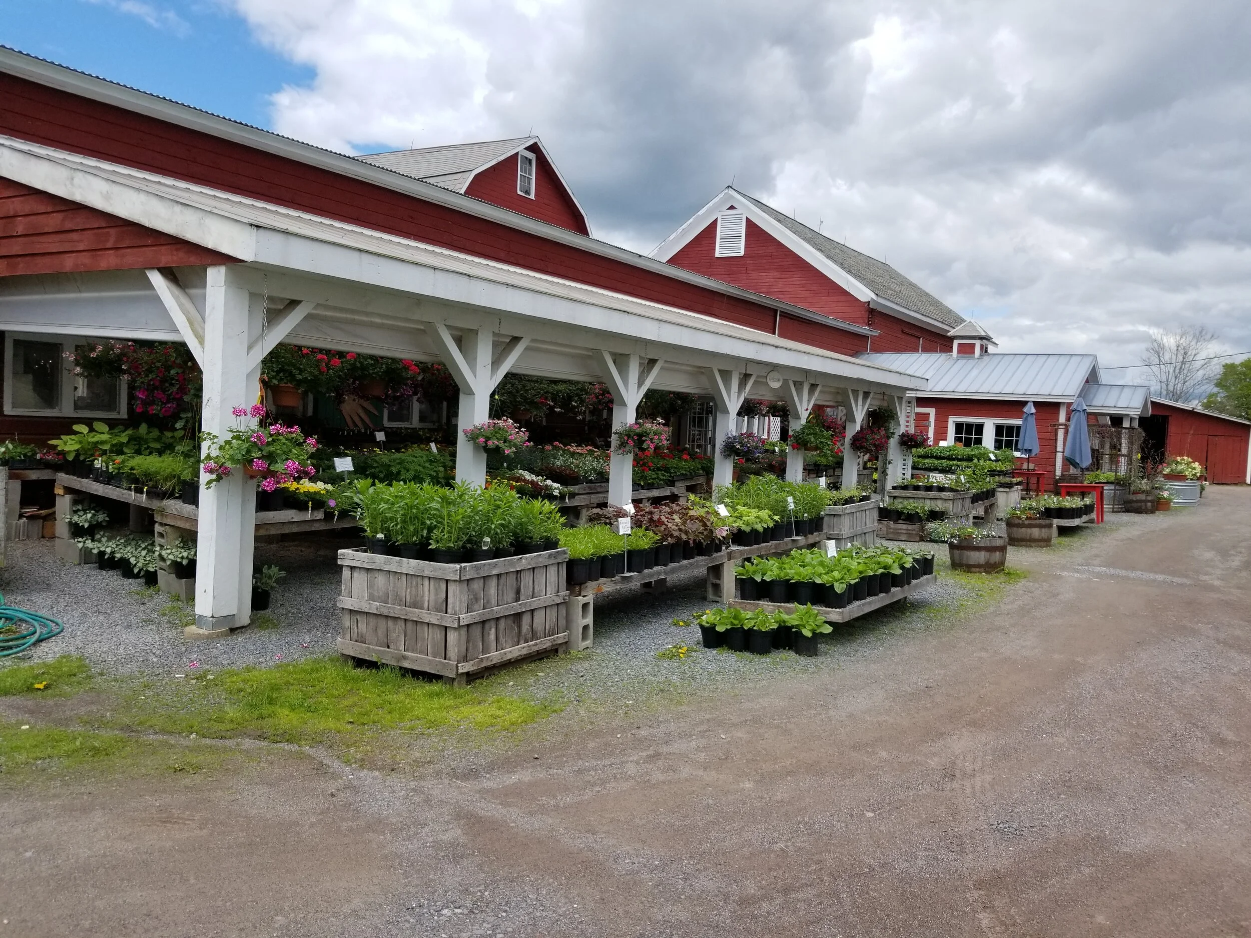 20190516_122146.jpg