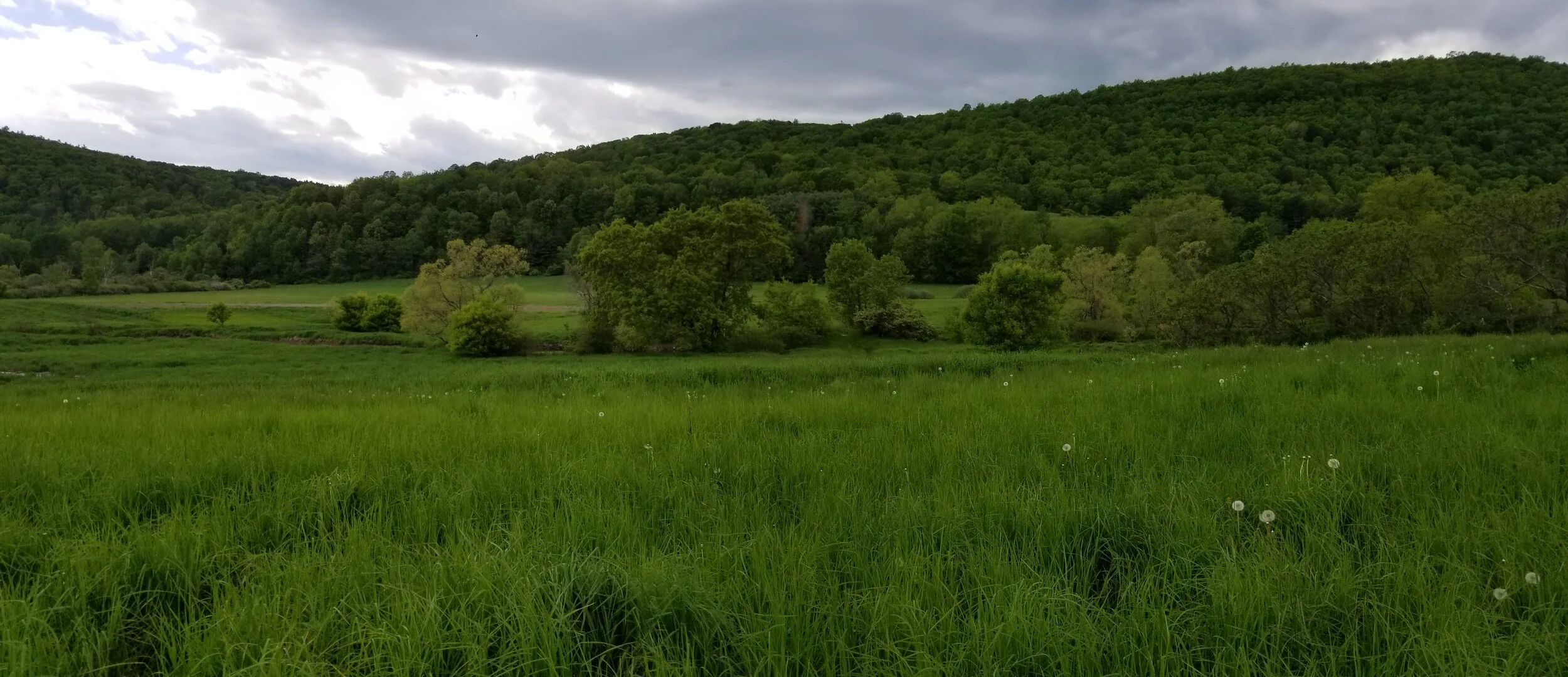 20190527_150239.jpg