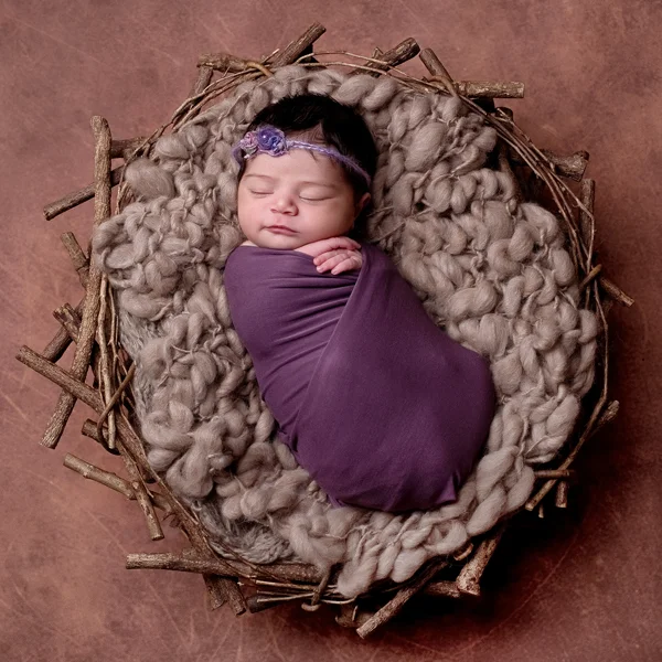 newborn baby girl with nest and purple tones