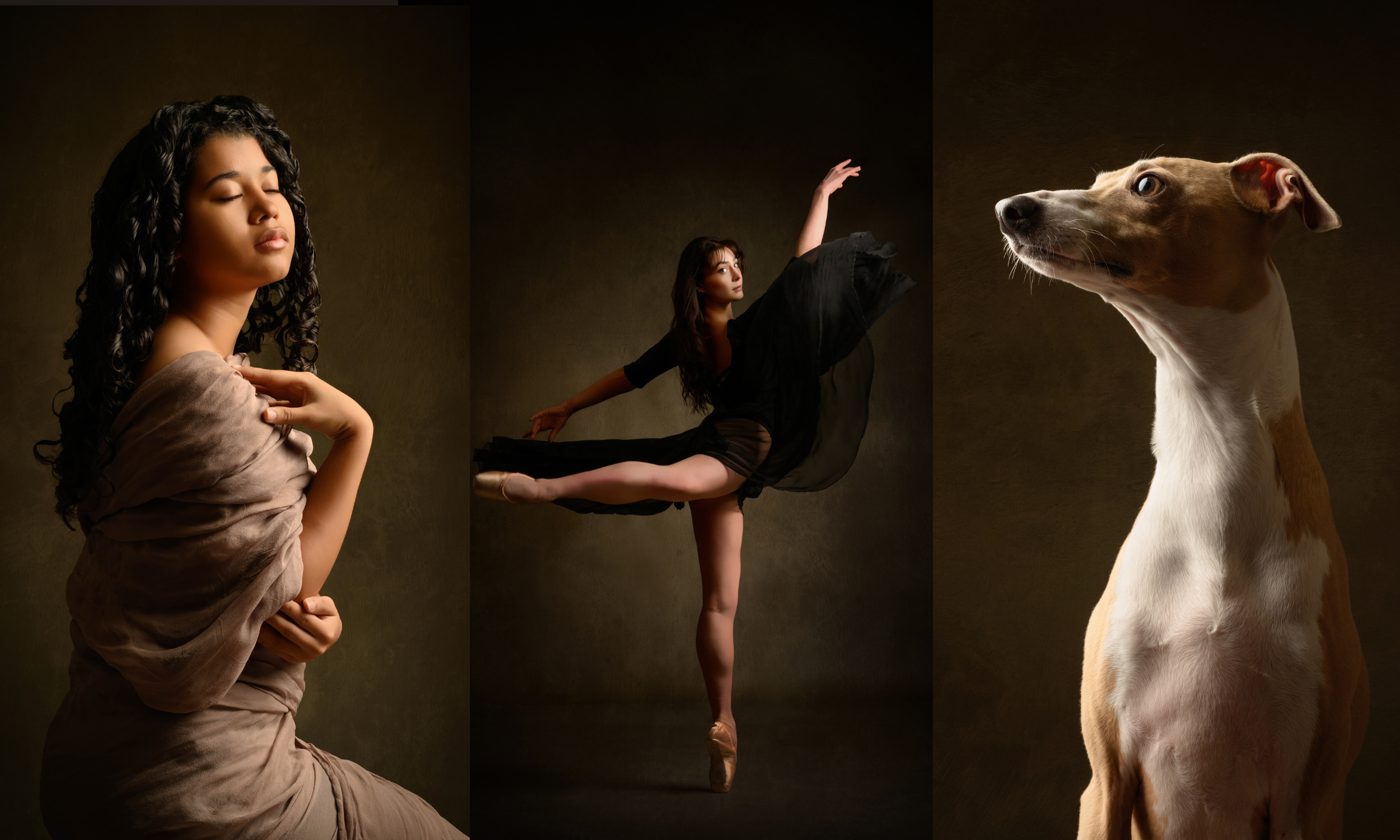 gift website header (2500 x 1500 px).png