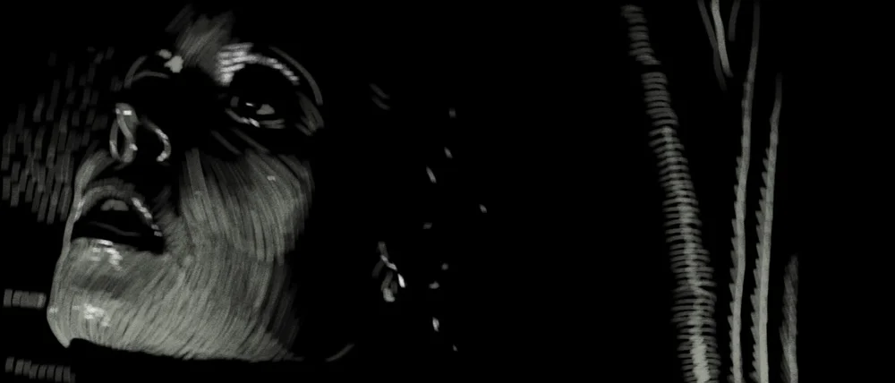 RIPLEY_frame_3.jpg