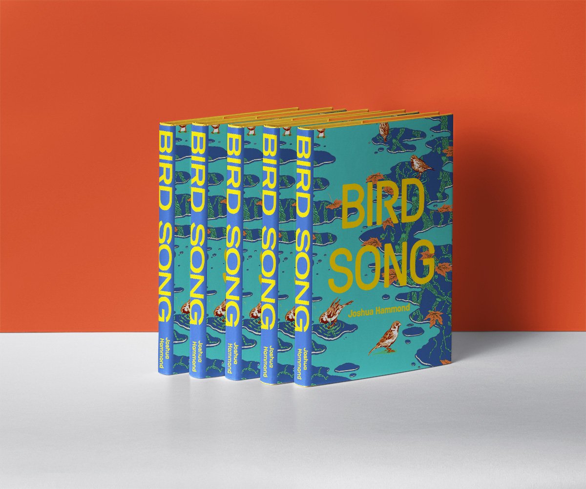 Buyeds_Hardcover_Mockup.jpg