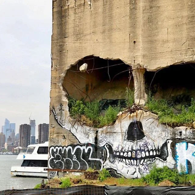💀@suitswon #skullbuilding #greenpointbrooklyn