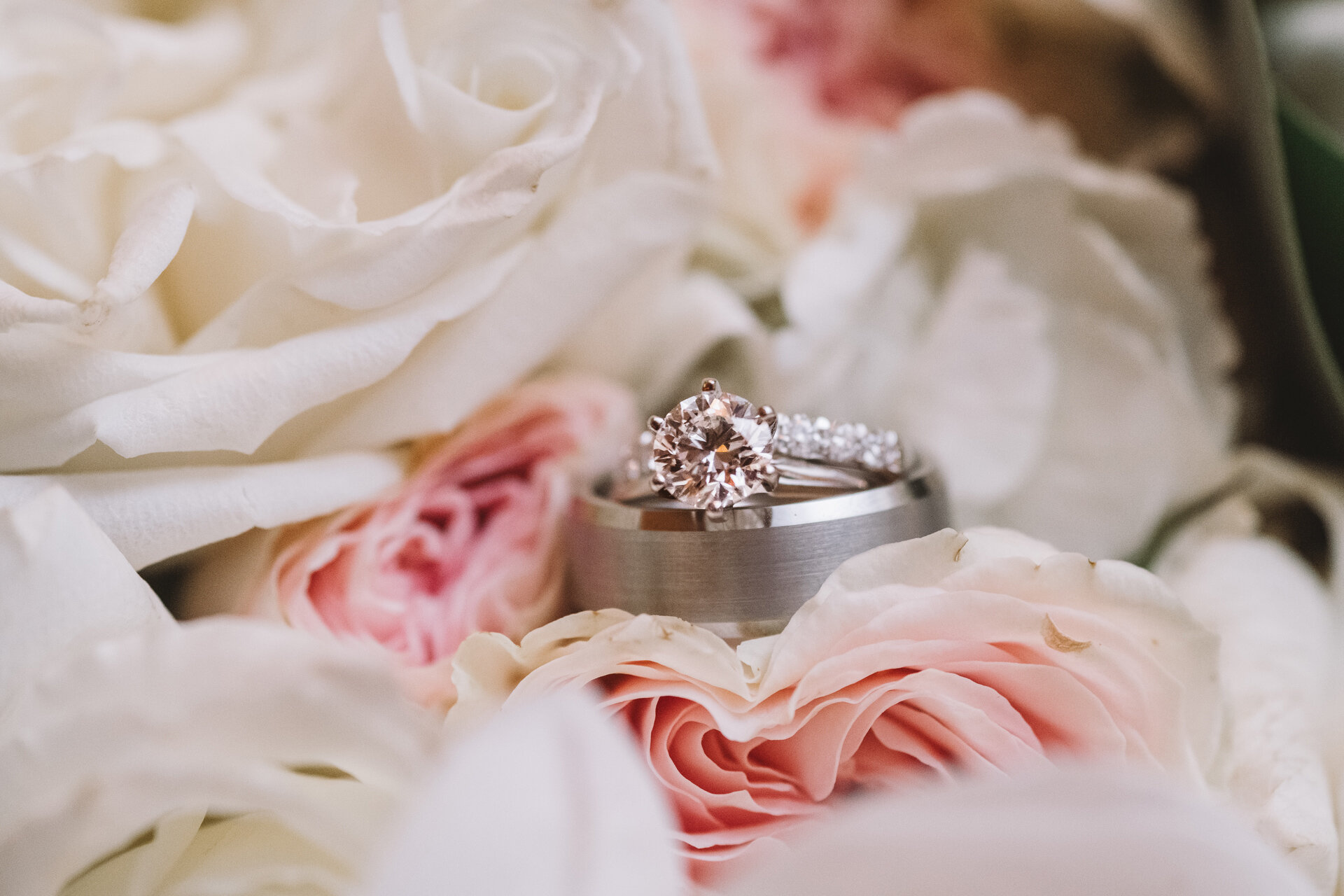 wedding rings in flowers