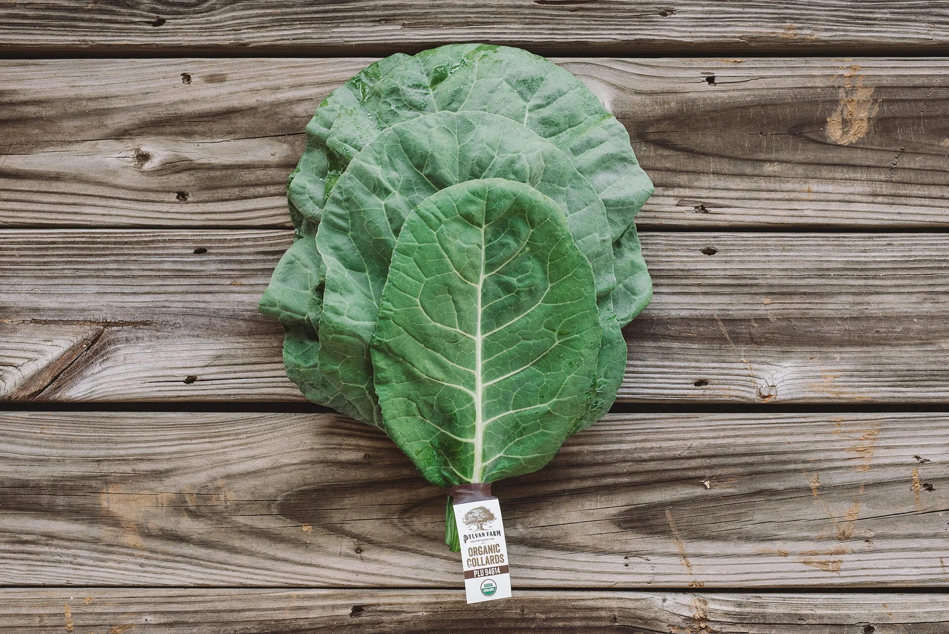 Collards / Sylvan Farms