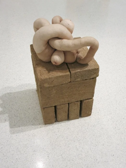 sarahlucas.jpg