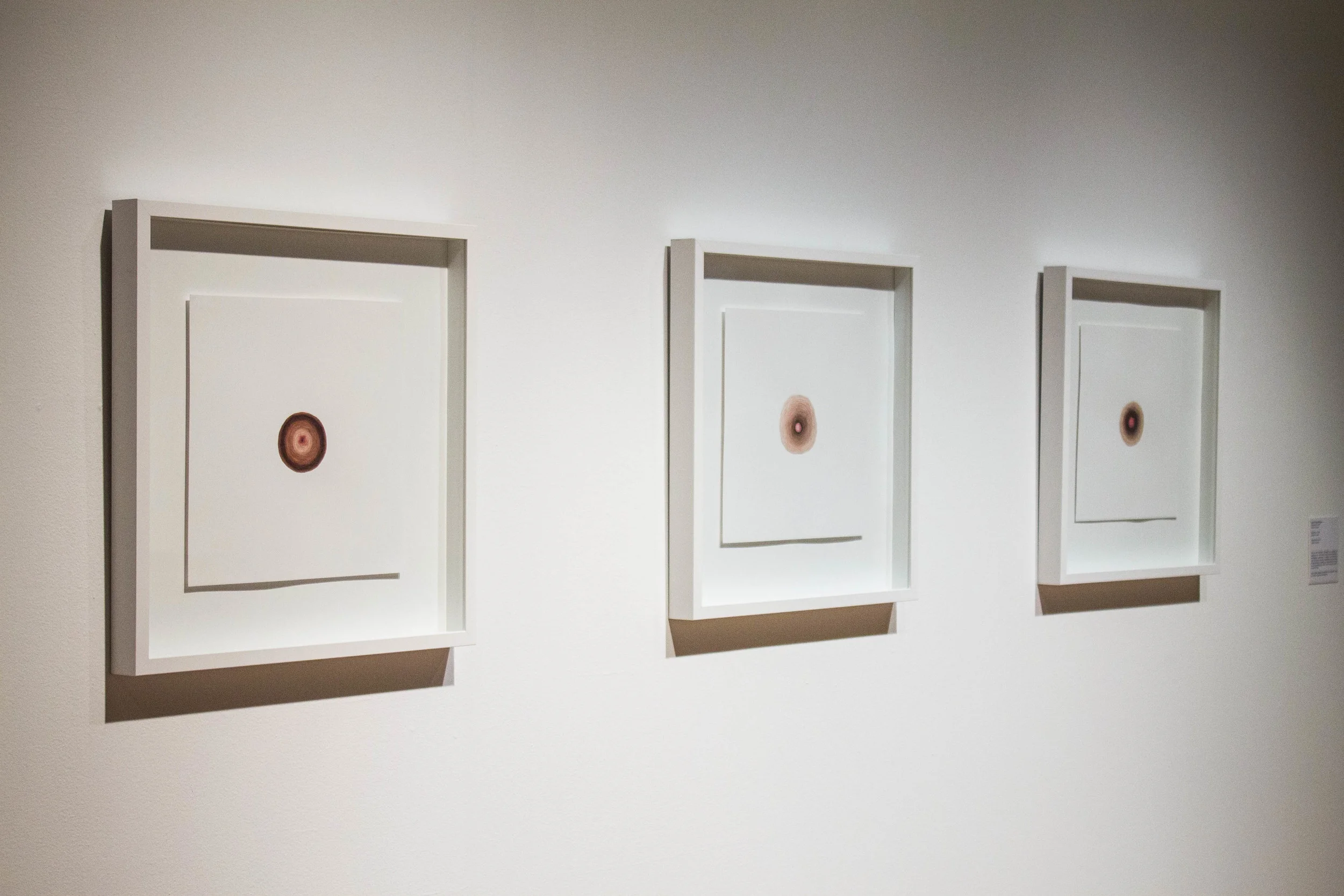 Decreation (II, II, & VI)