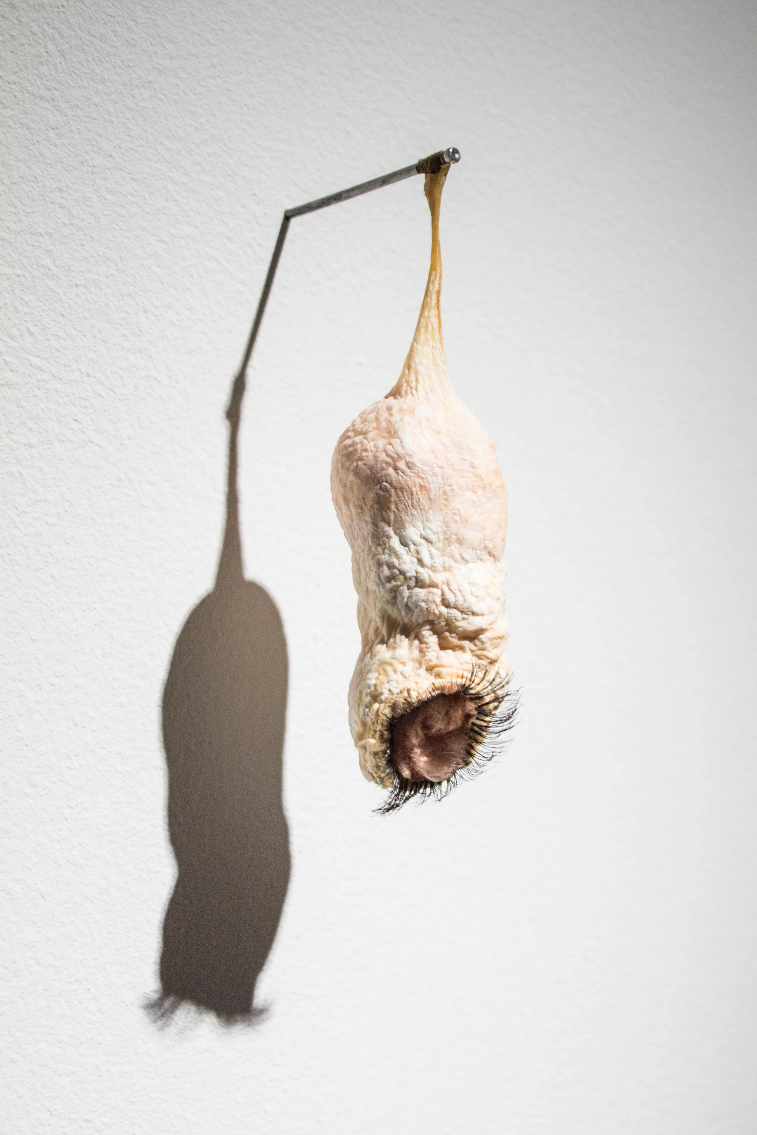 Dangle - 2013 - beef intestine, fiberglass insulation, and false eyelashes - 6" x 2" x 2"
