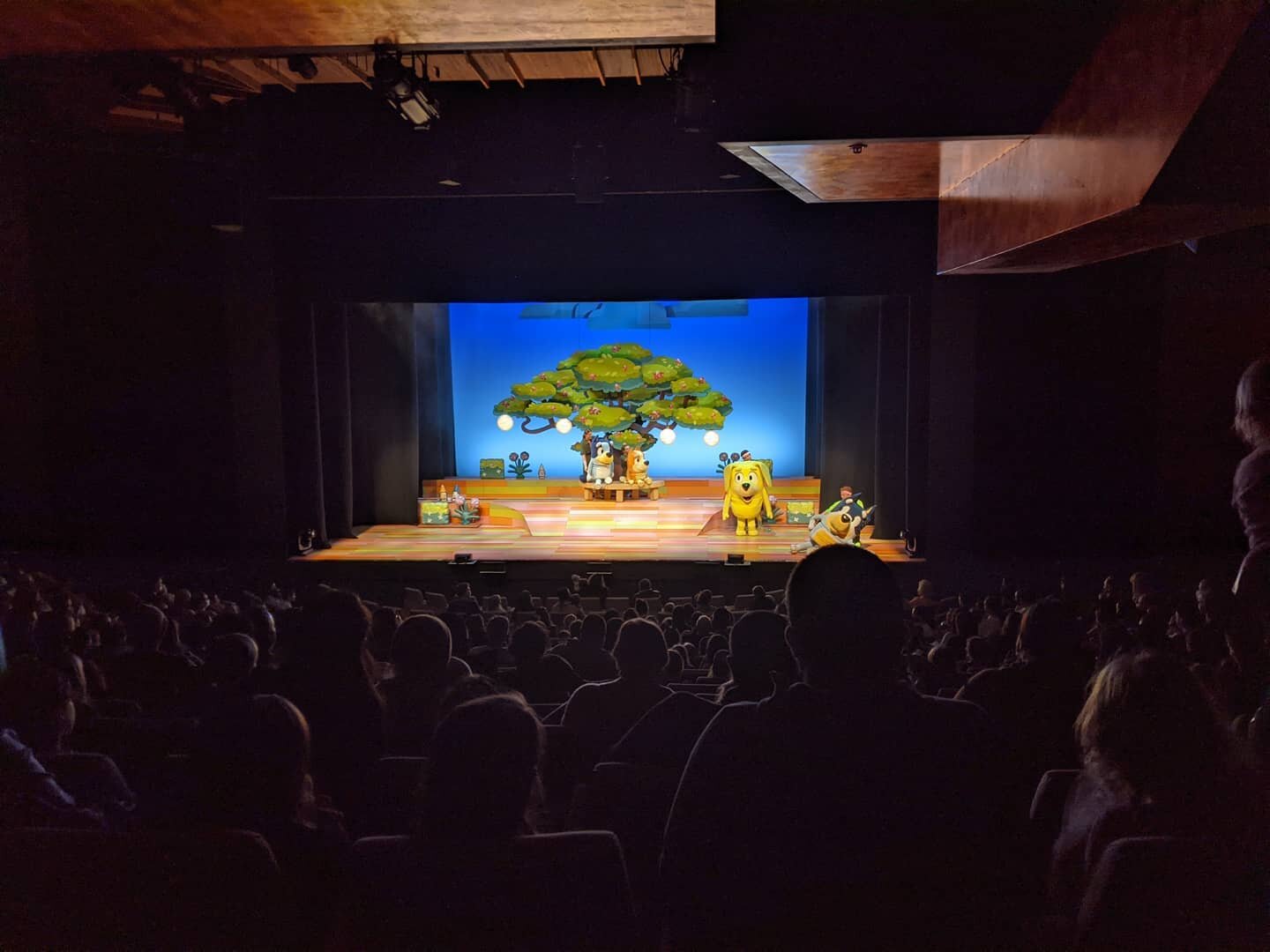 I finally got to see the show today! After a week of Puppet Doctor-ing (two if you count Townsville earlier this year), it was great to see everything in action. Such a gorgeous show with gorgeous puppets, props etc created by @ablanckcanvas . Very h