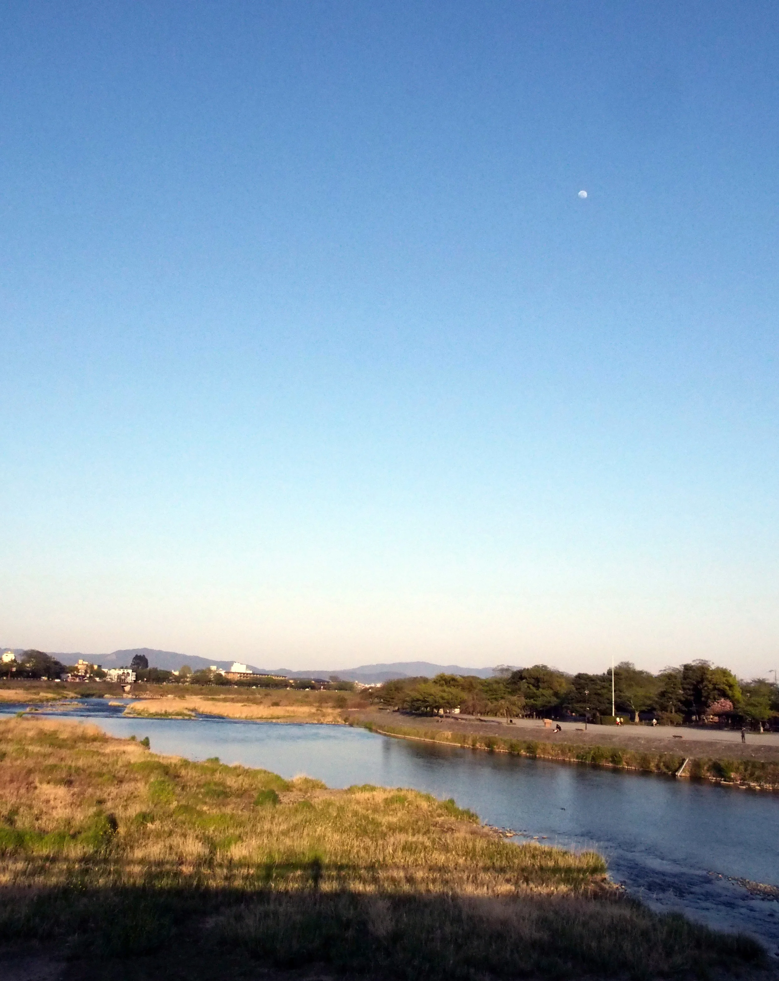 P1010415_2.jpg