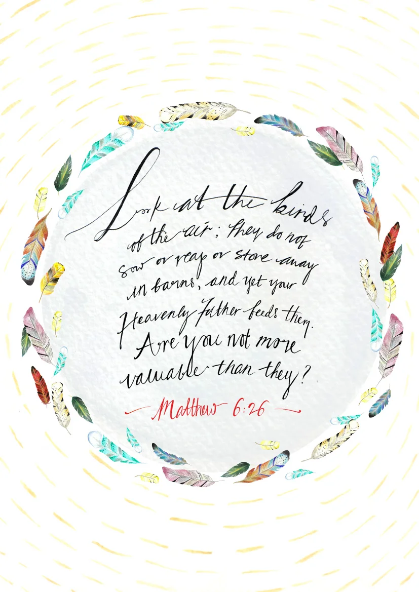 matthew626.jpg