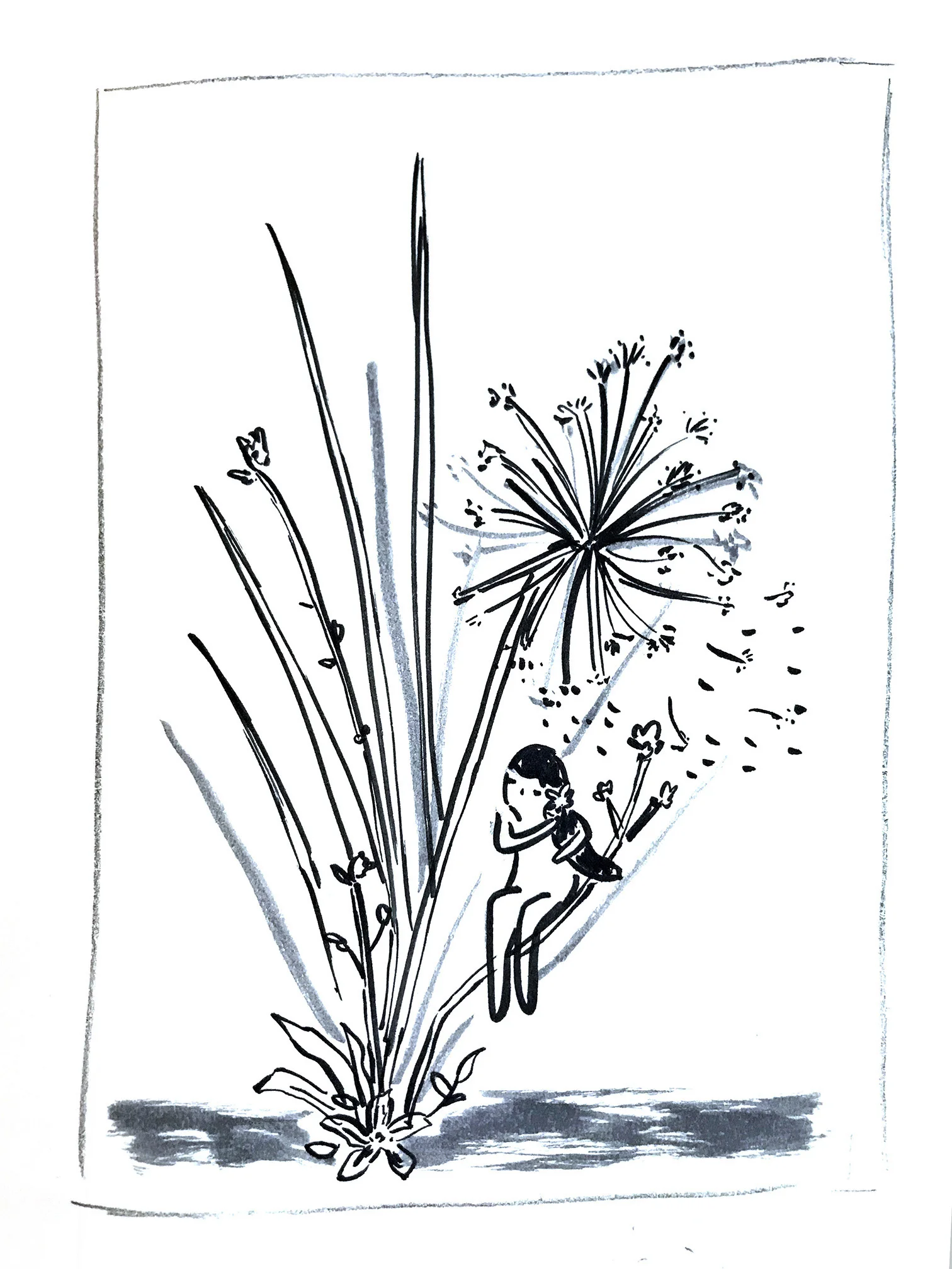 Sketch2.5.jpg
