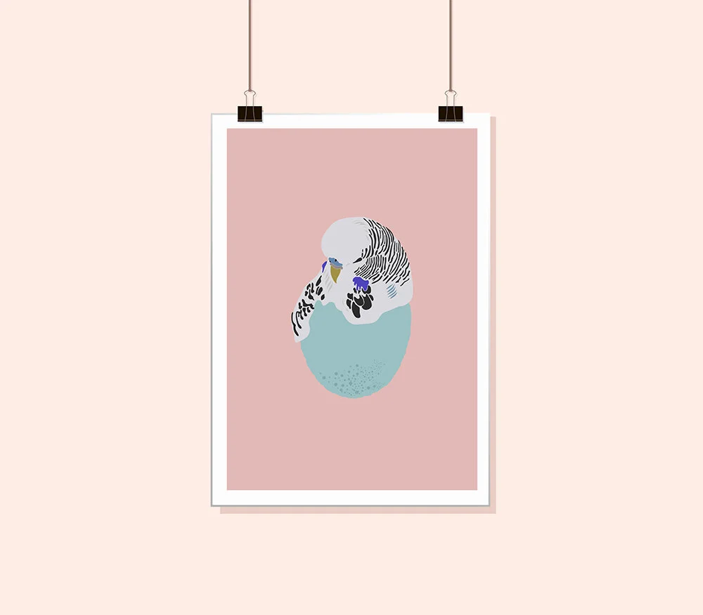 Budge Limited Edition Art Print