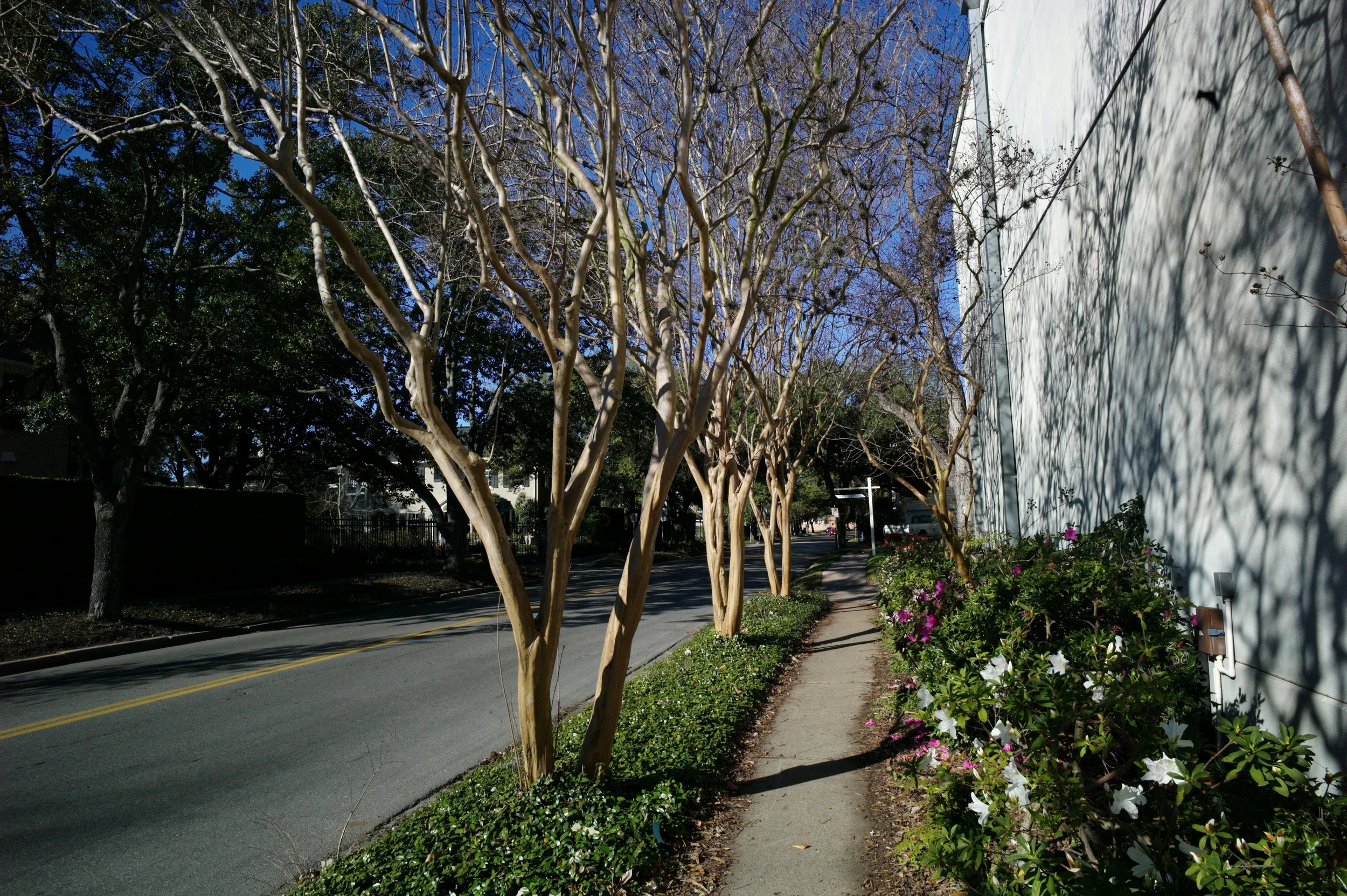 L9992369.JPG