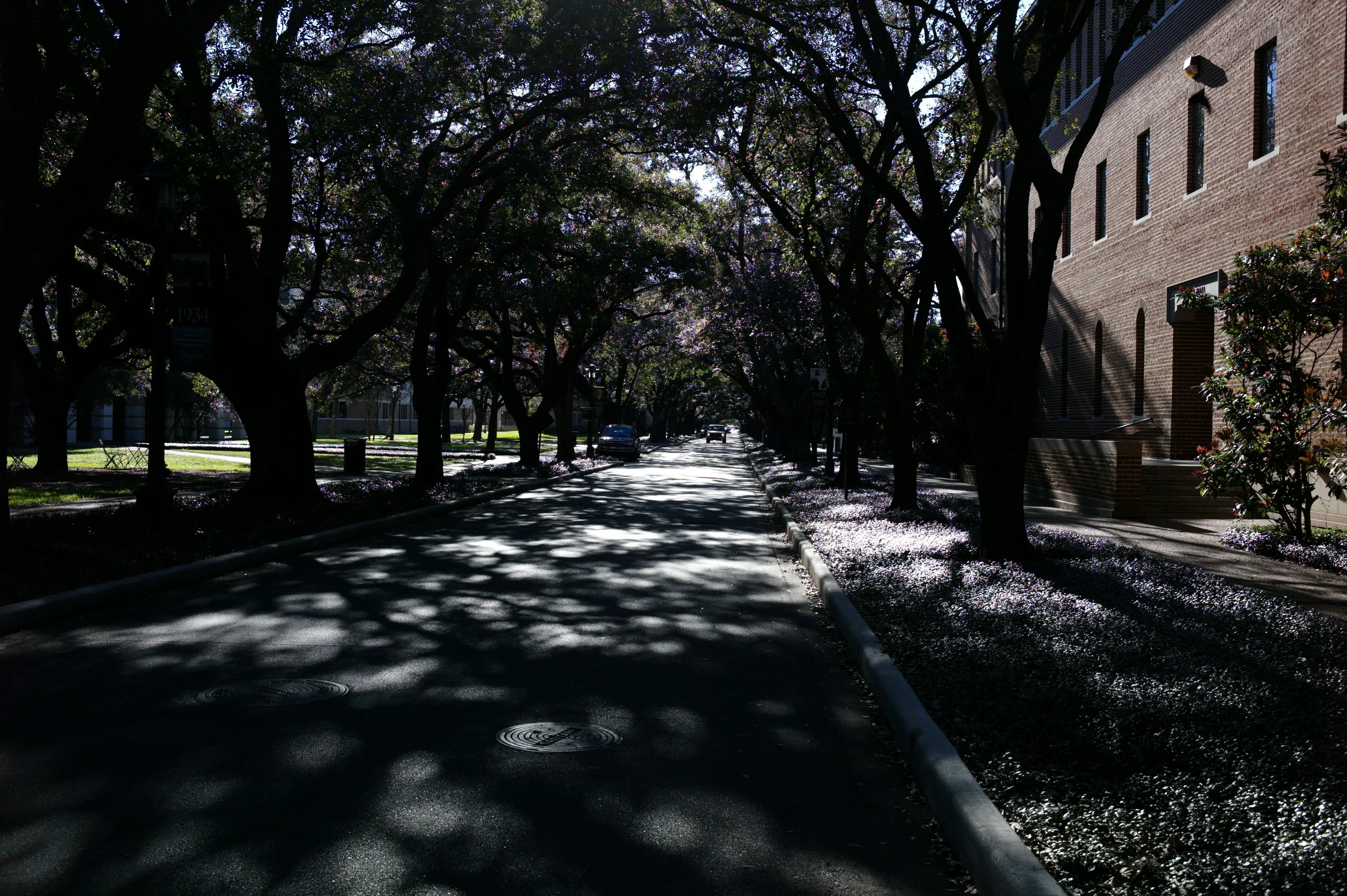 L9992458.JPG