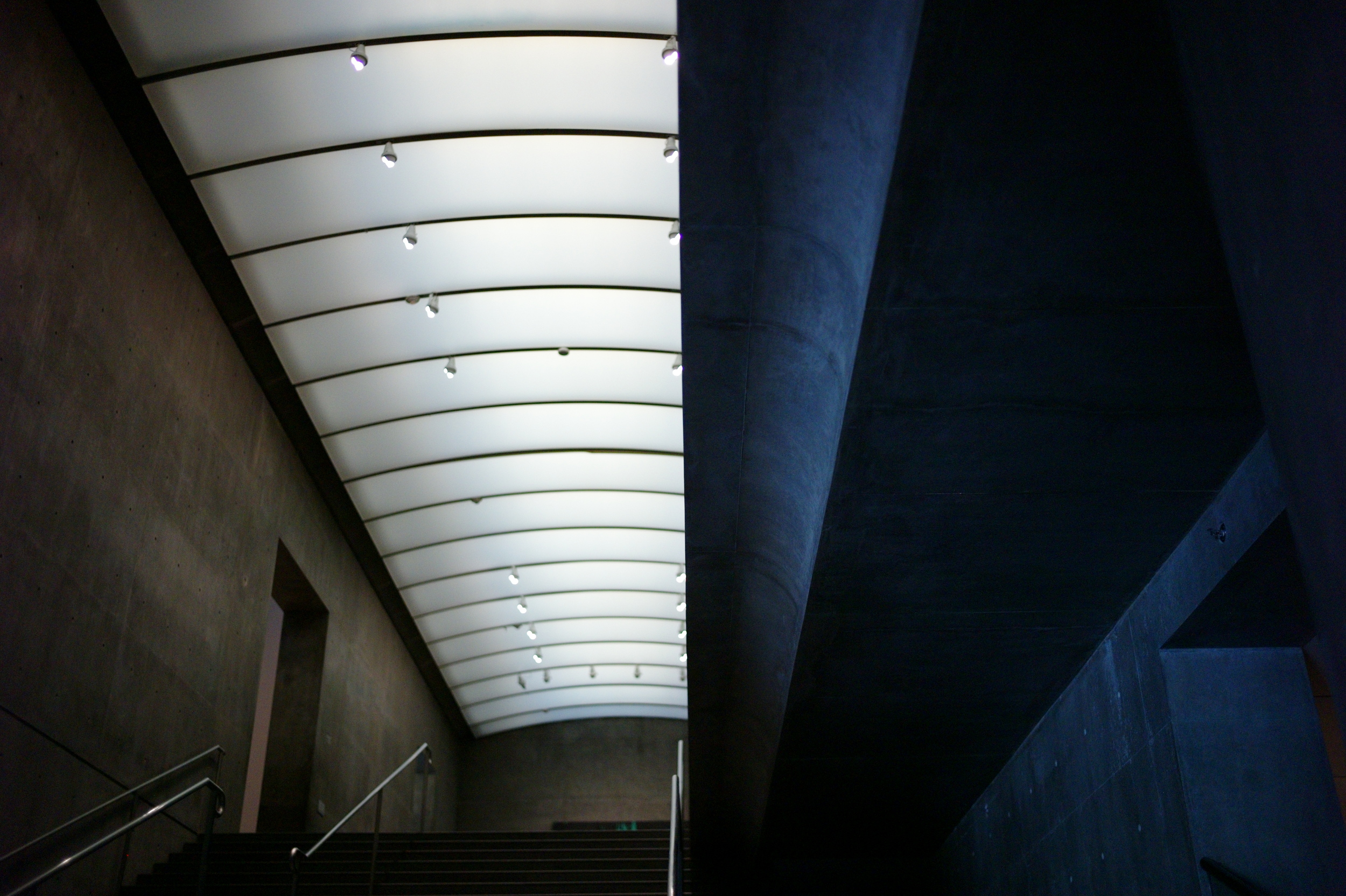 L9992598.JPG