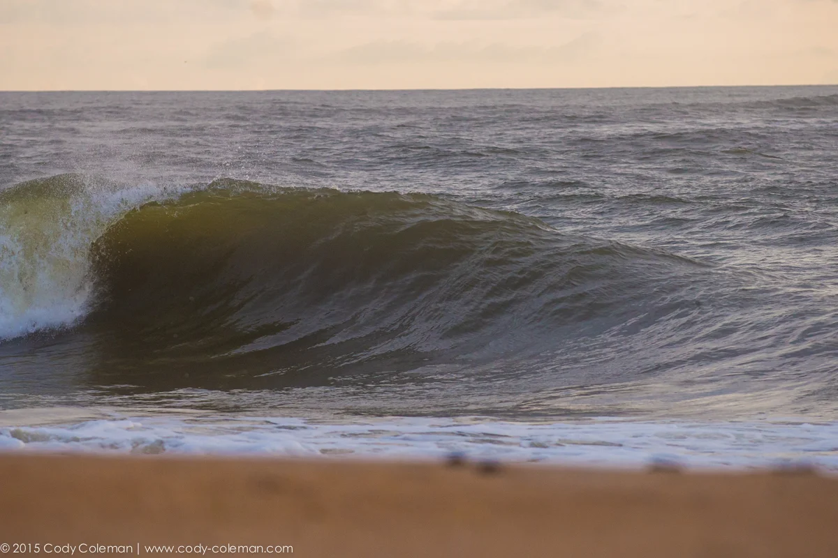 Sep29_MidMorning_Photo_CodyColeman-28.jpg
