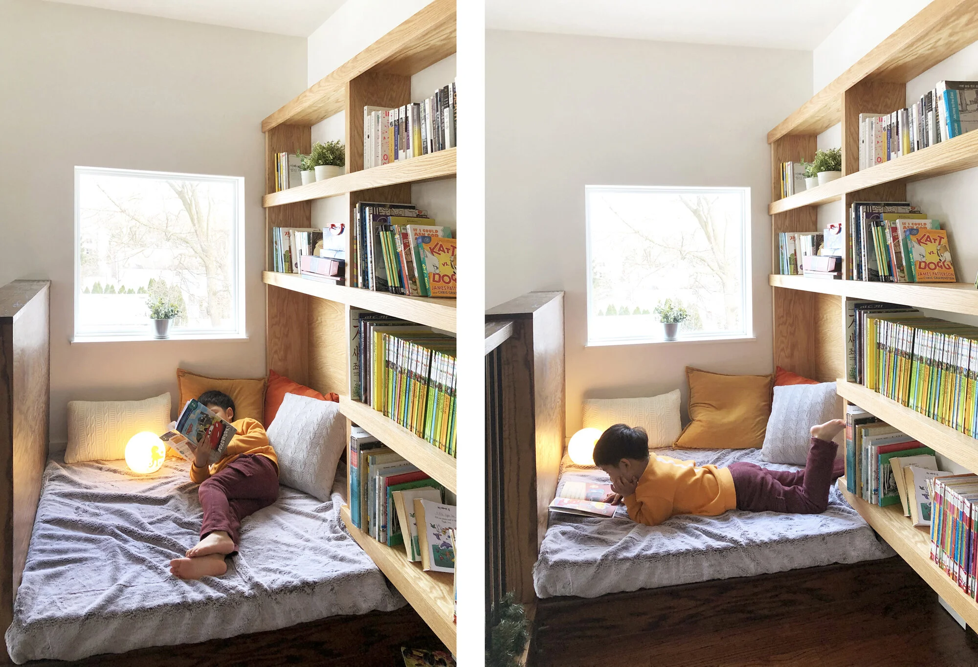 Bookshelf_combined.jpg