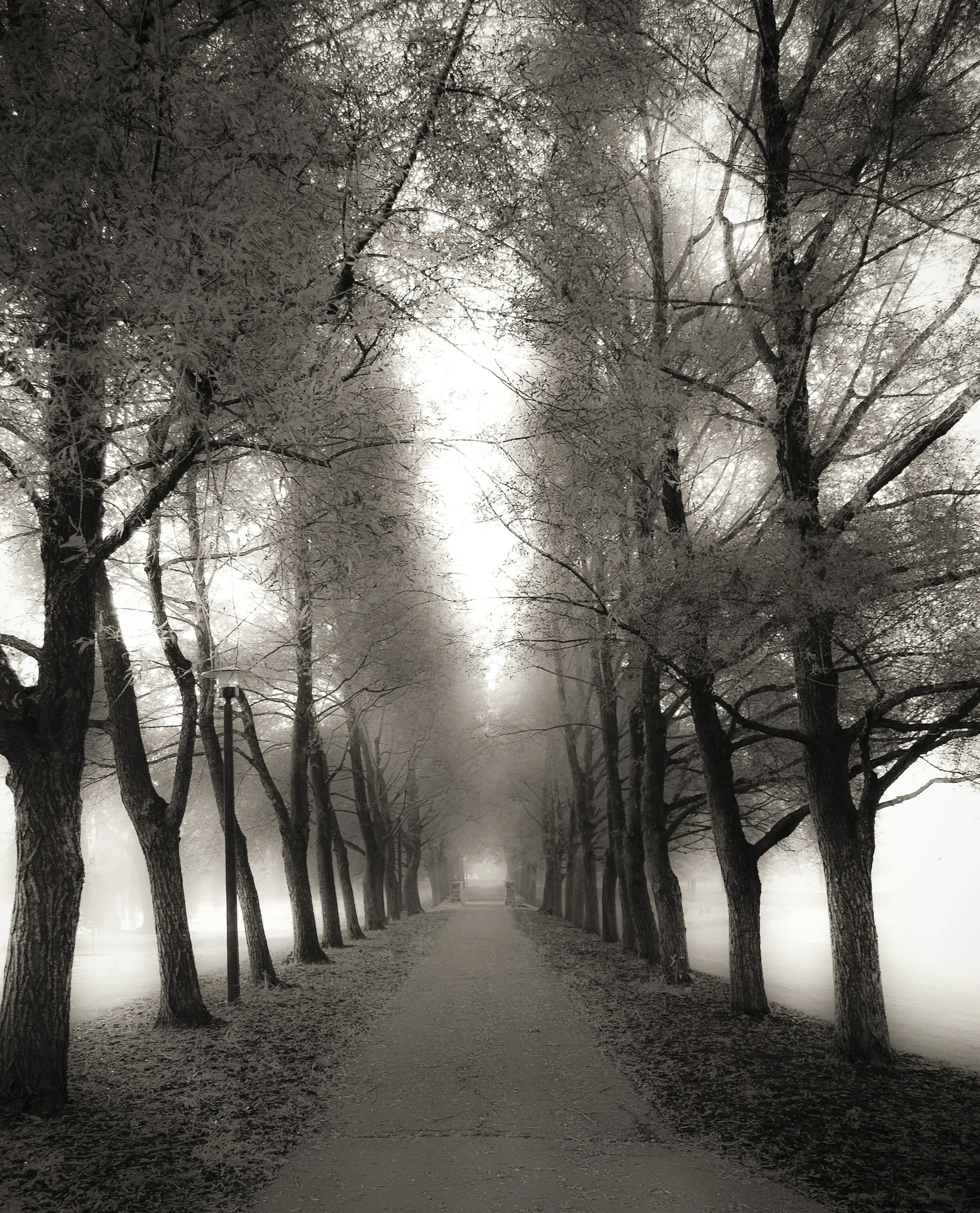 The Path Colgate University, Hamilton, New York