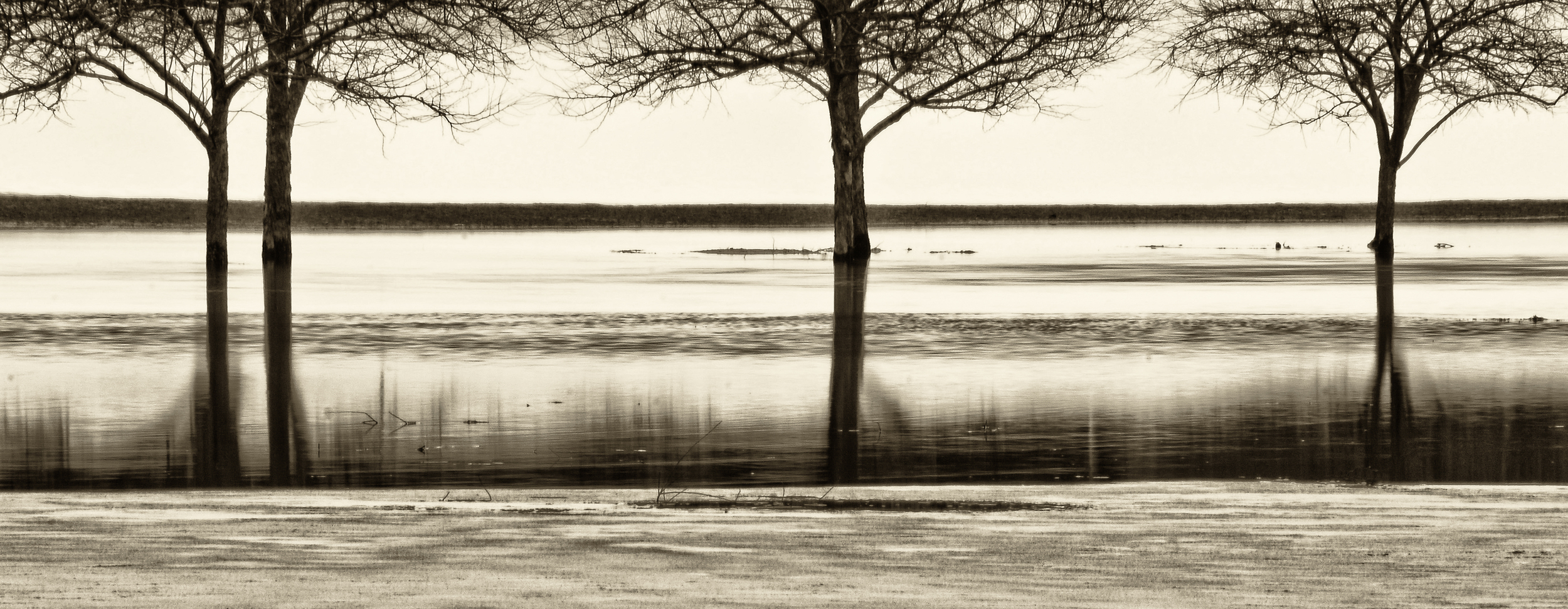 The Four Payne Creek, overflowing during a March thaw. Hamilton, N.Y.