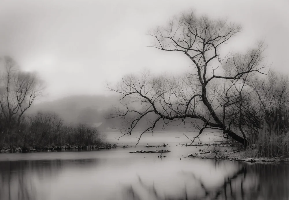 Photographs: New York State Landscapes — Ted Anderson