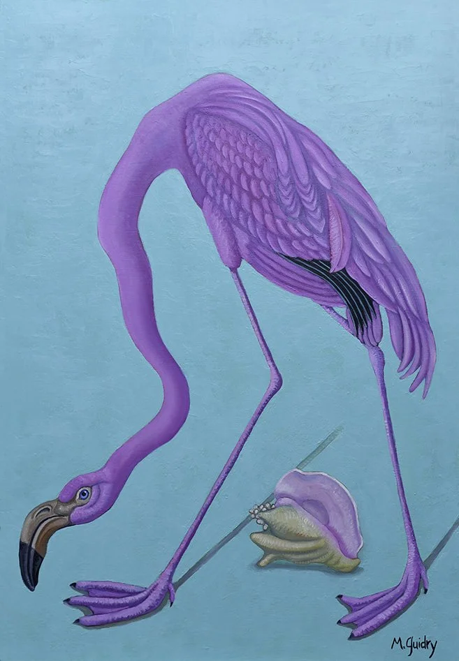 Audubon Flamingo, Conch