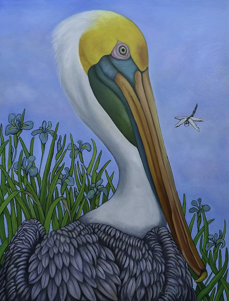 Brown Pelican, Dragonfly