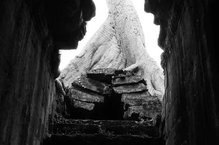 Cambodia trip. Siem Reap near Angkor Wat. Photo by Basil Glew-Galloway.