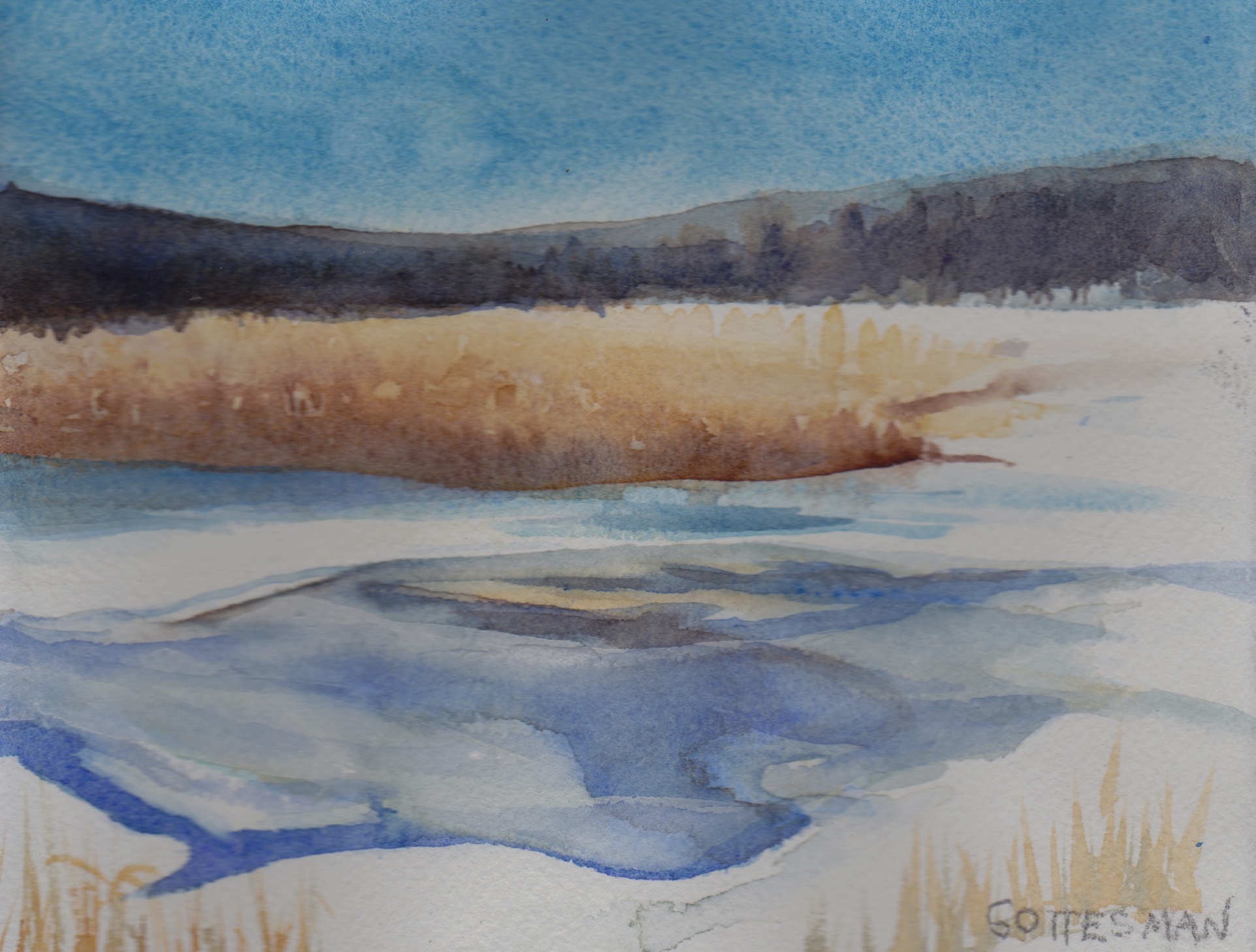Vermont Winter.jpeg