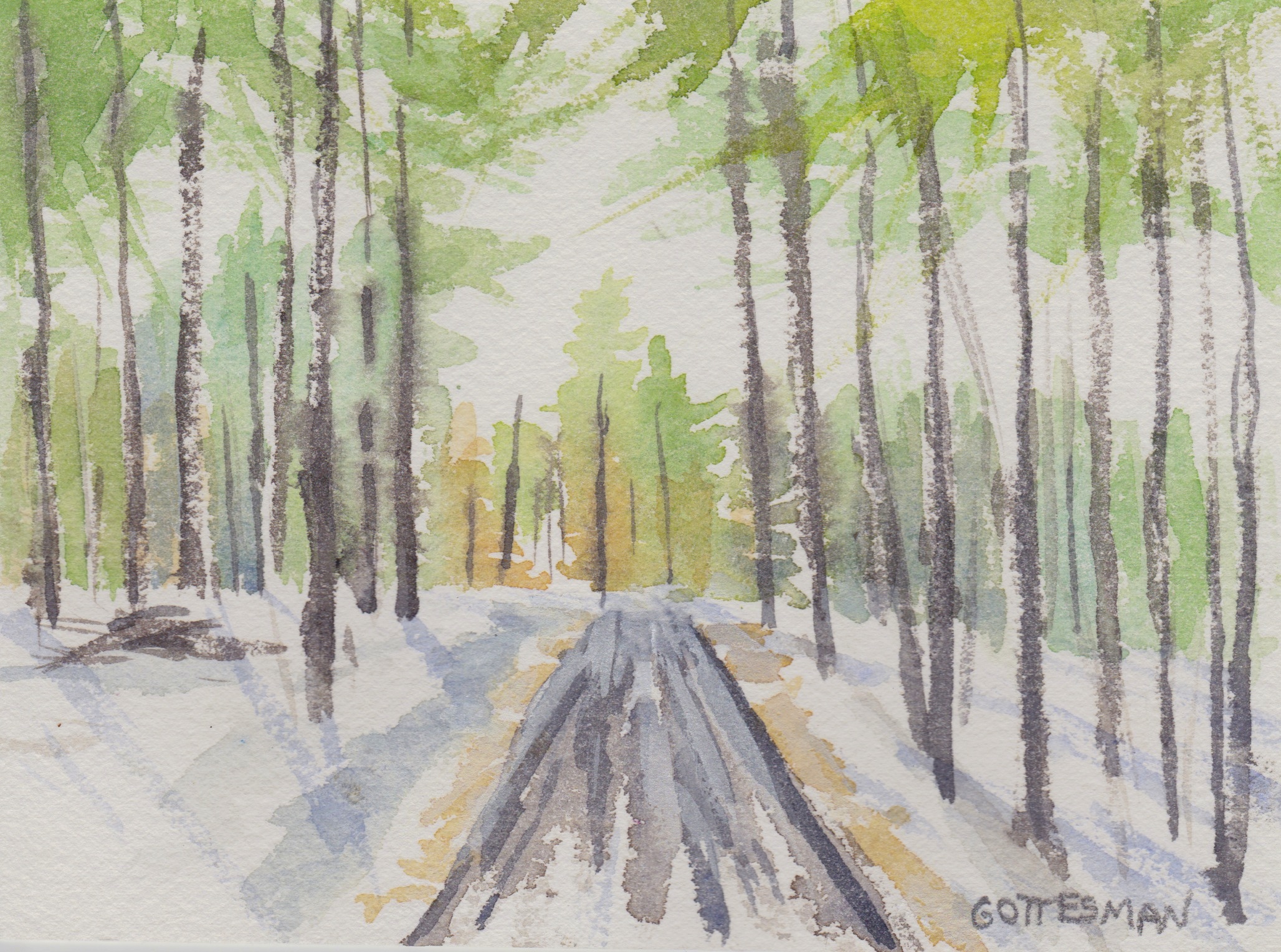 Winter Road 1.jpeg