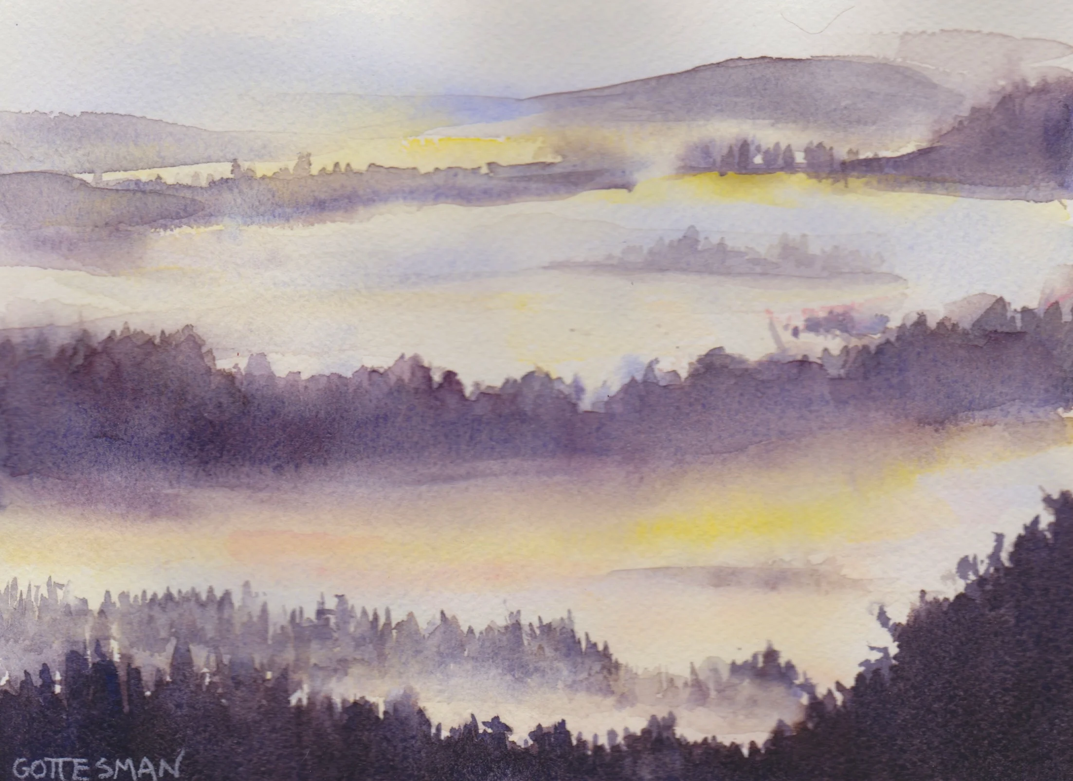 Vermont Mist.jpeg