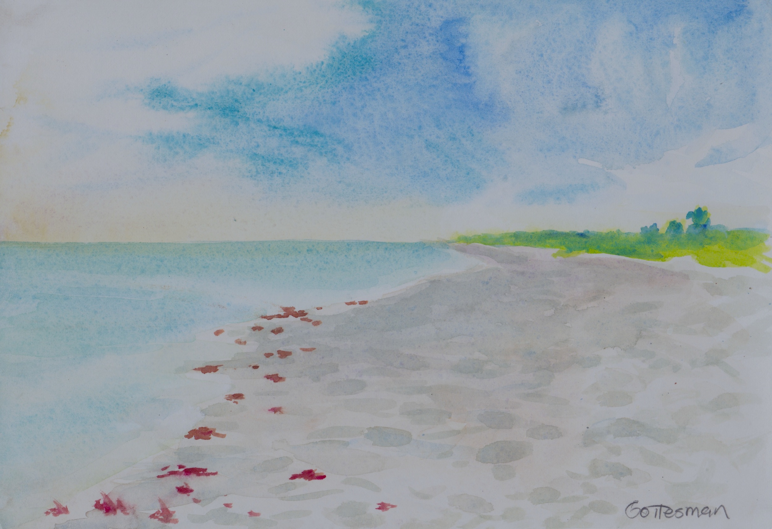 Ocean Shore.jpeg