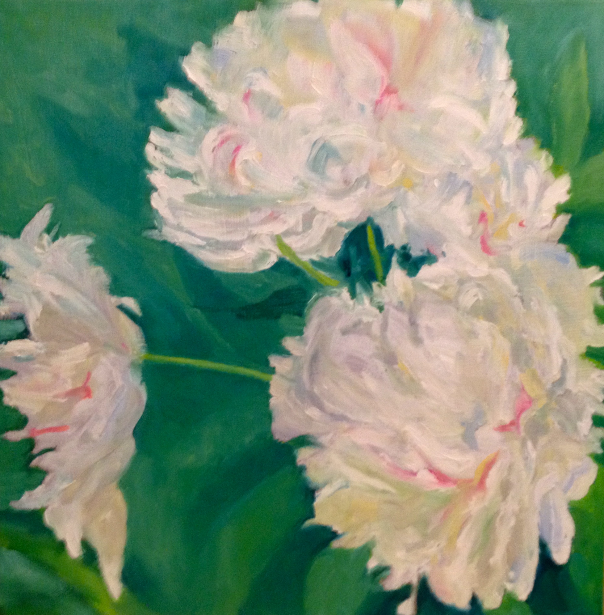 Peony 2014