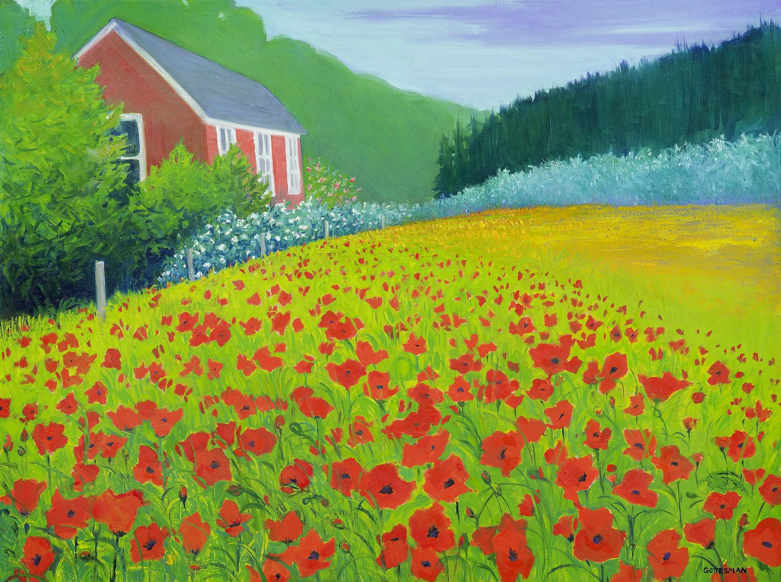 Field of Poppies.jpg