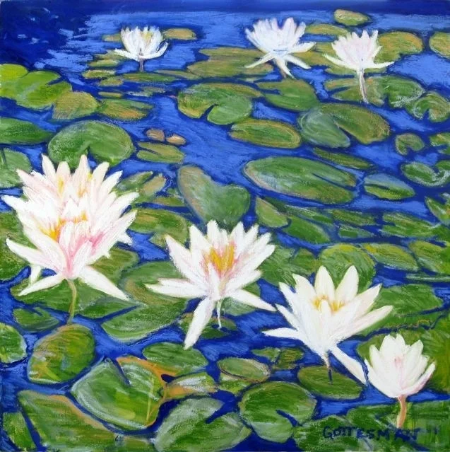 Waterlilies