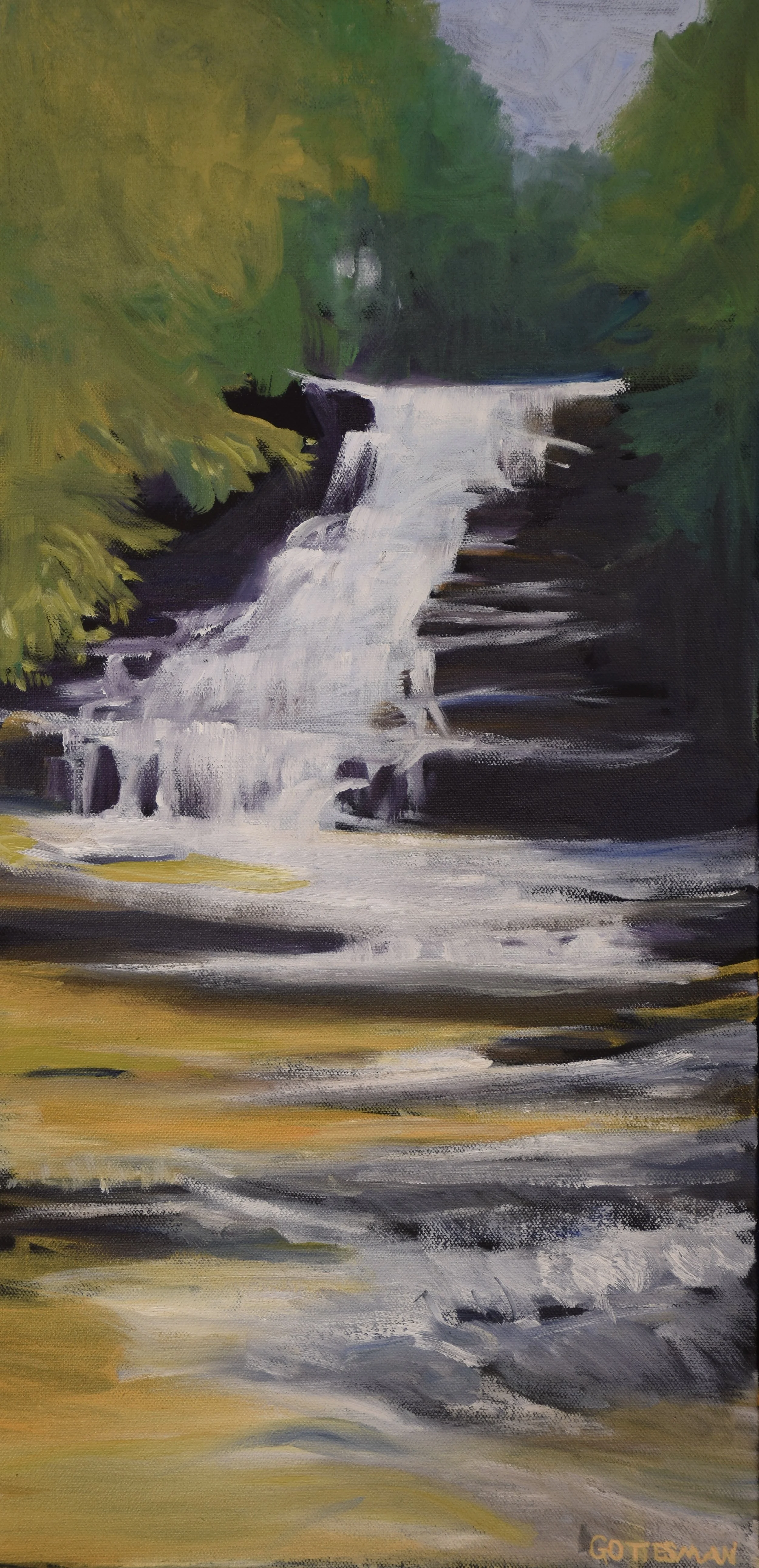 Oleta Falls - oil - 12 x 24 - $180
