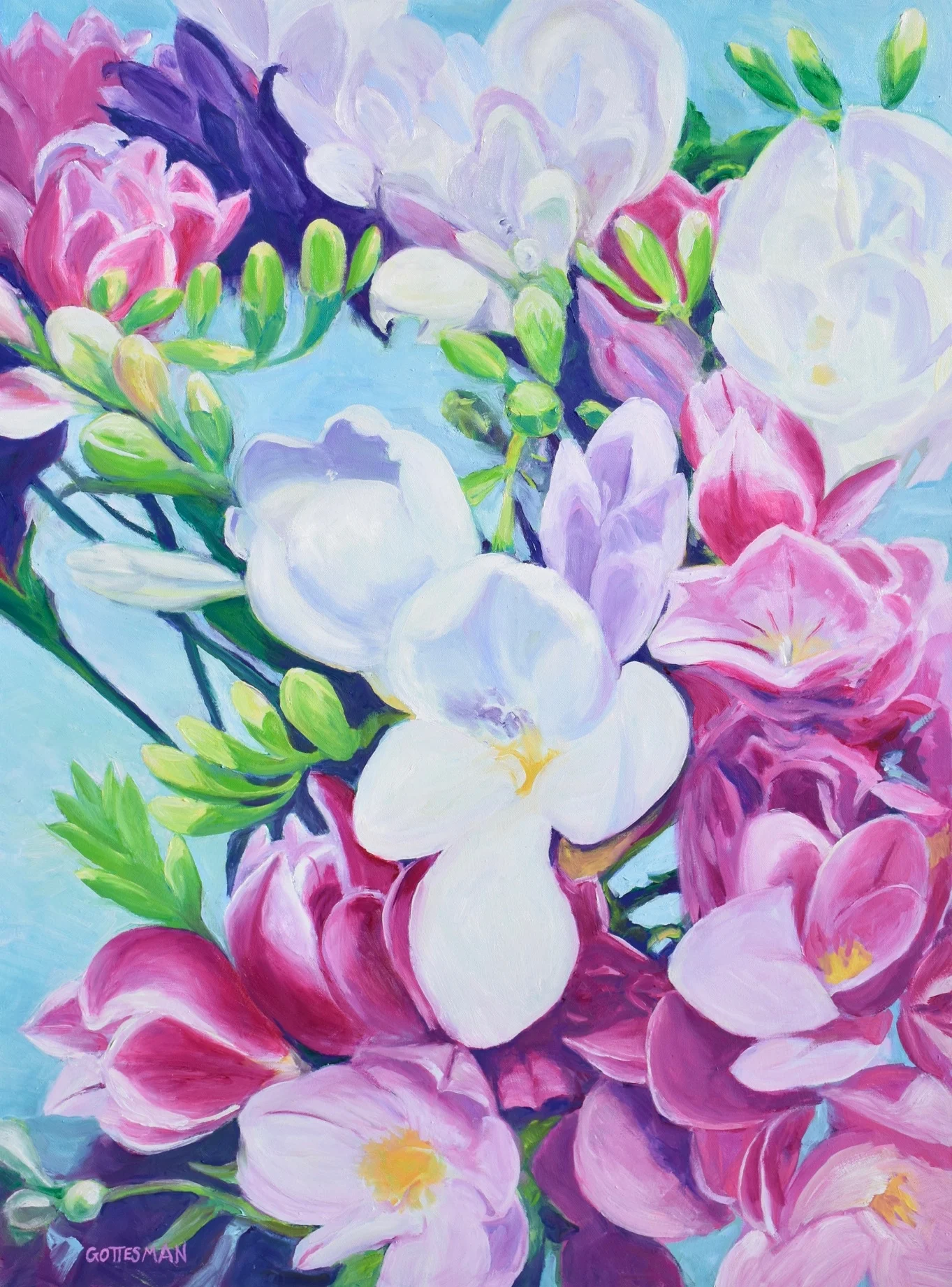 Freesia