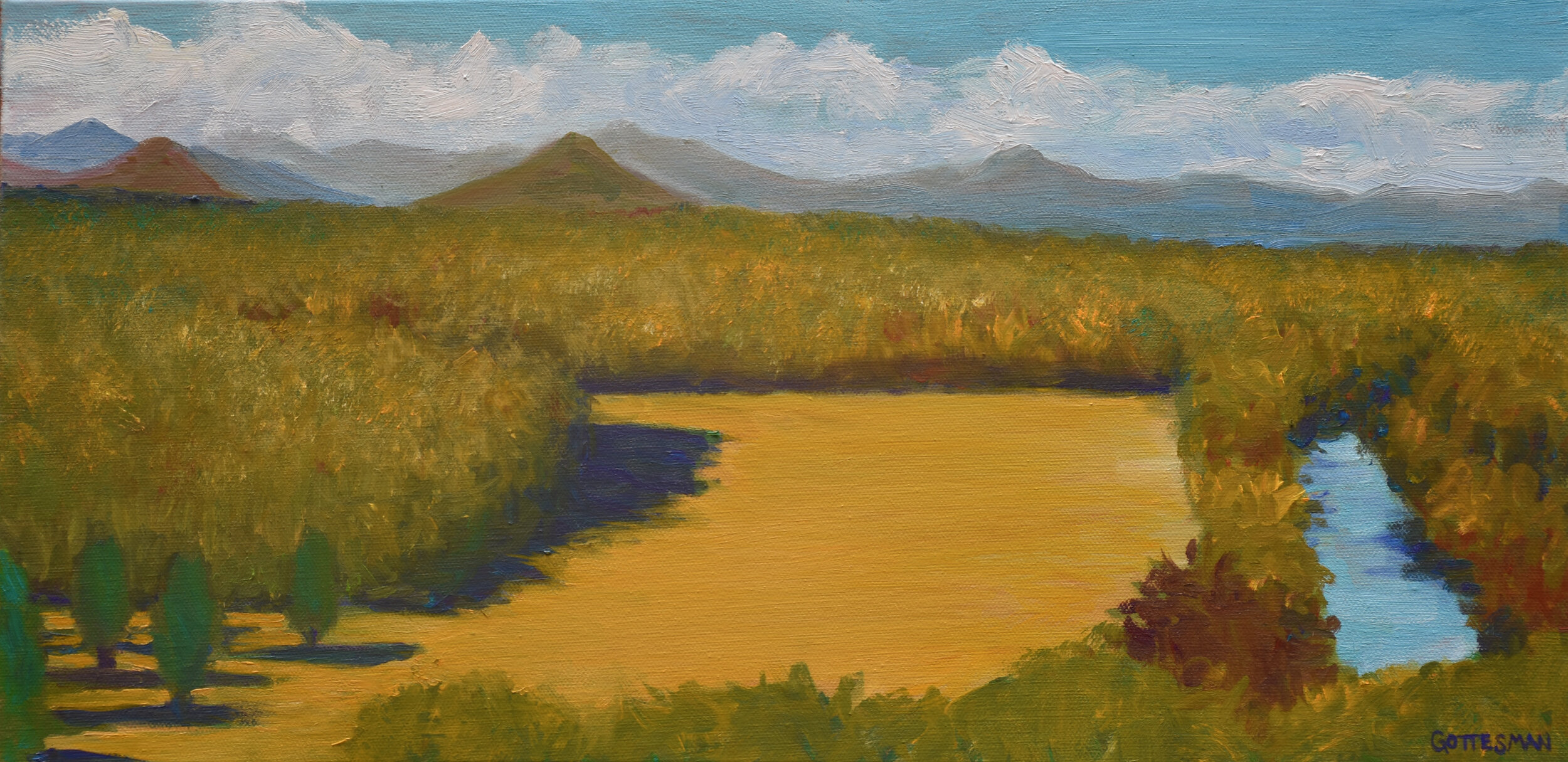 Field of Gold