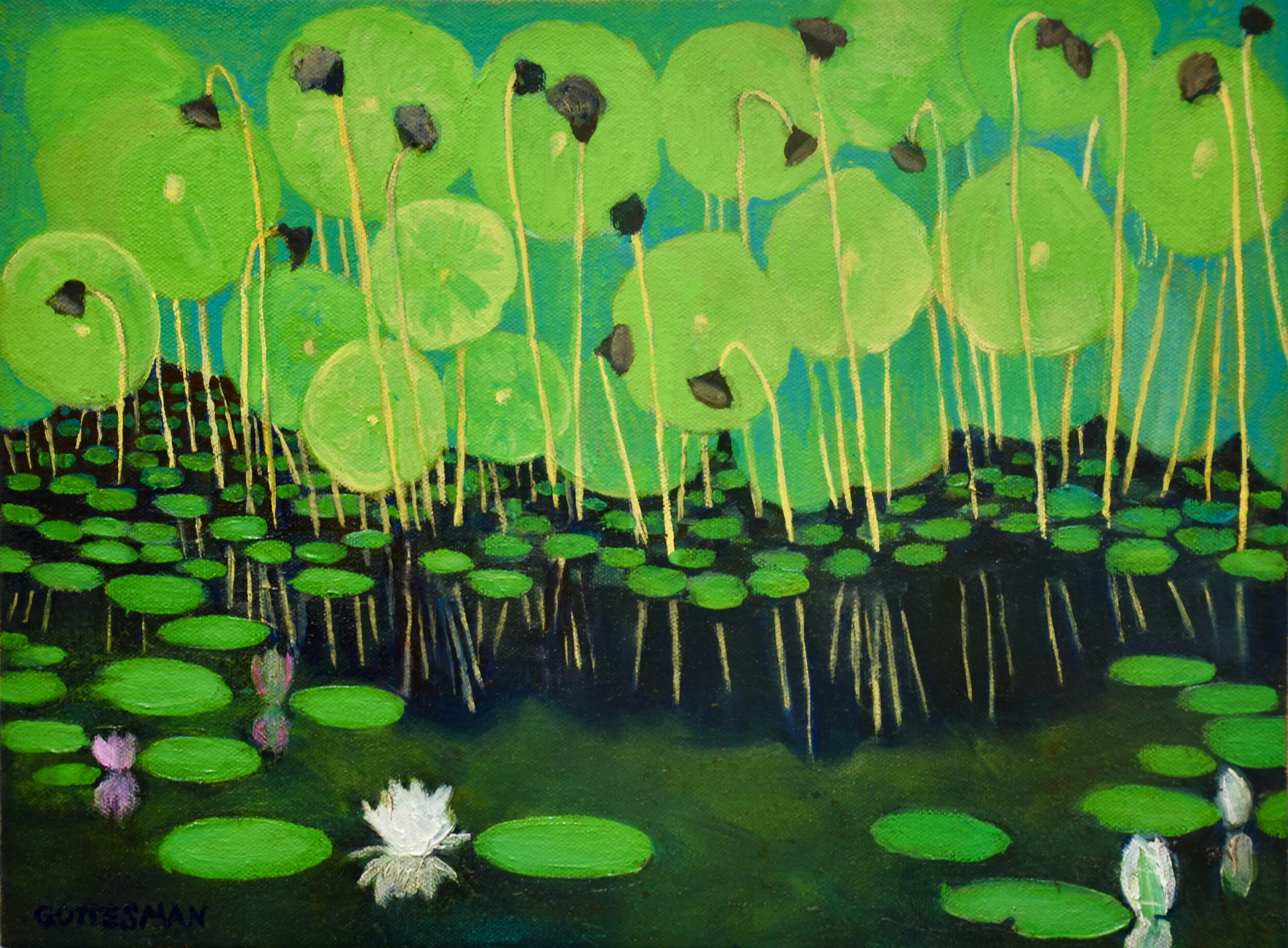 Lotus Pond