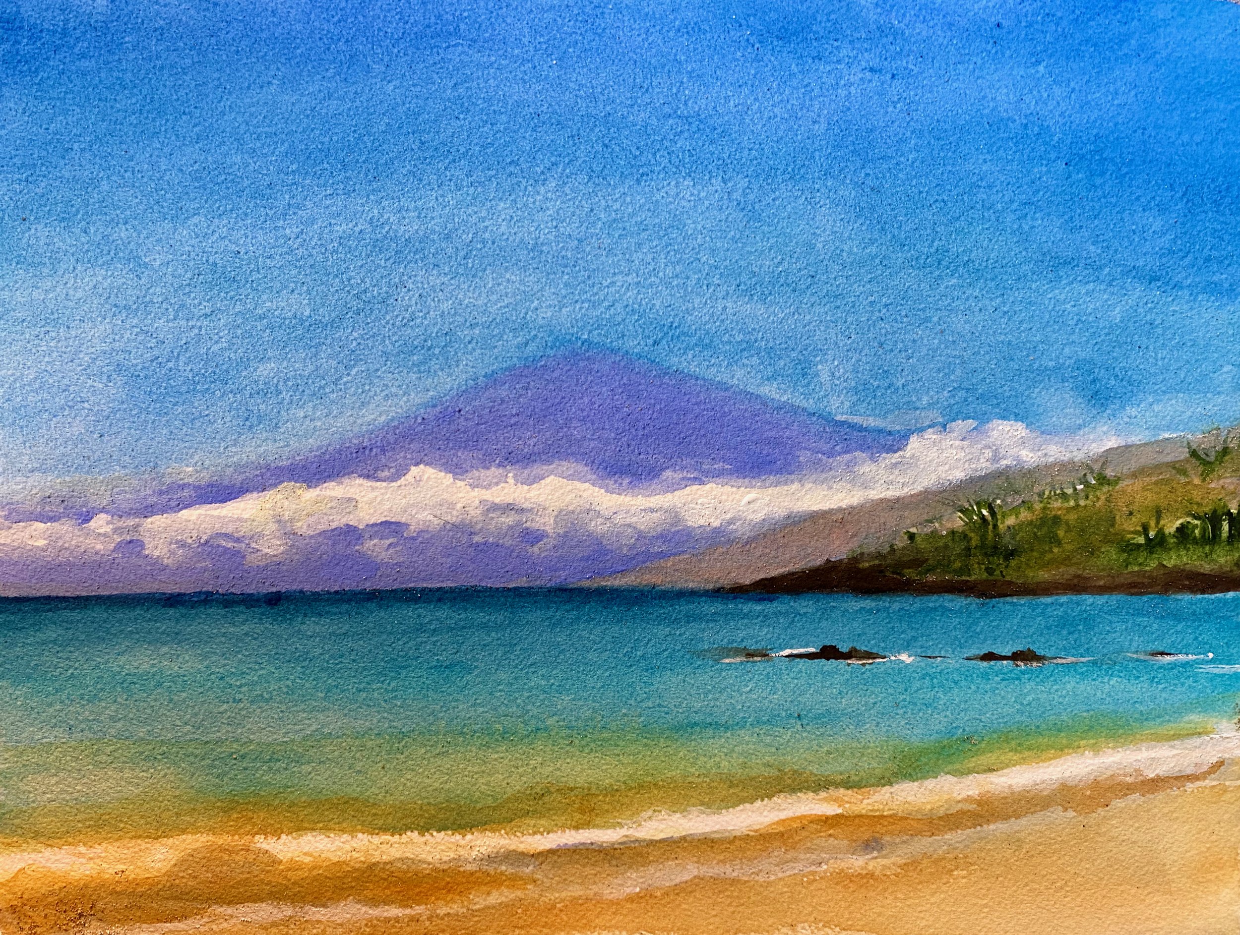 Maui study