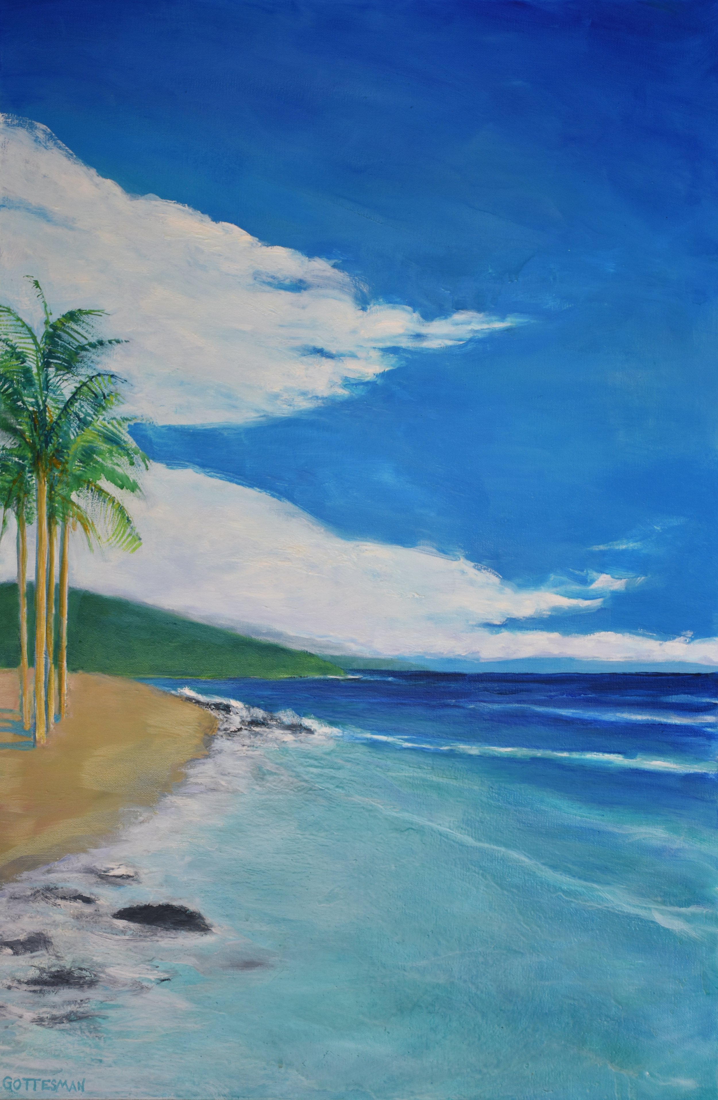 Leeward Side of Kailua Kona