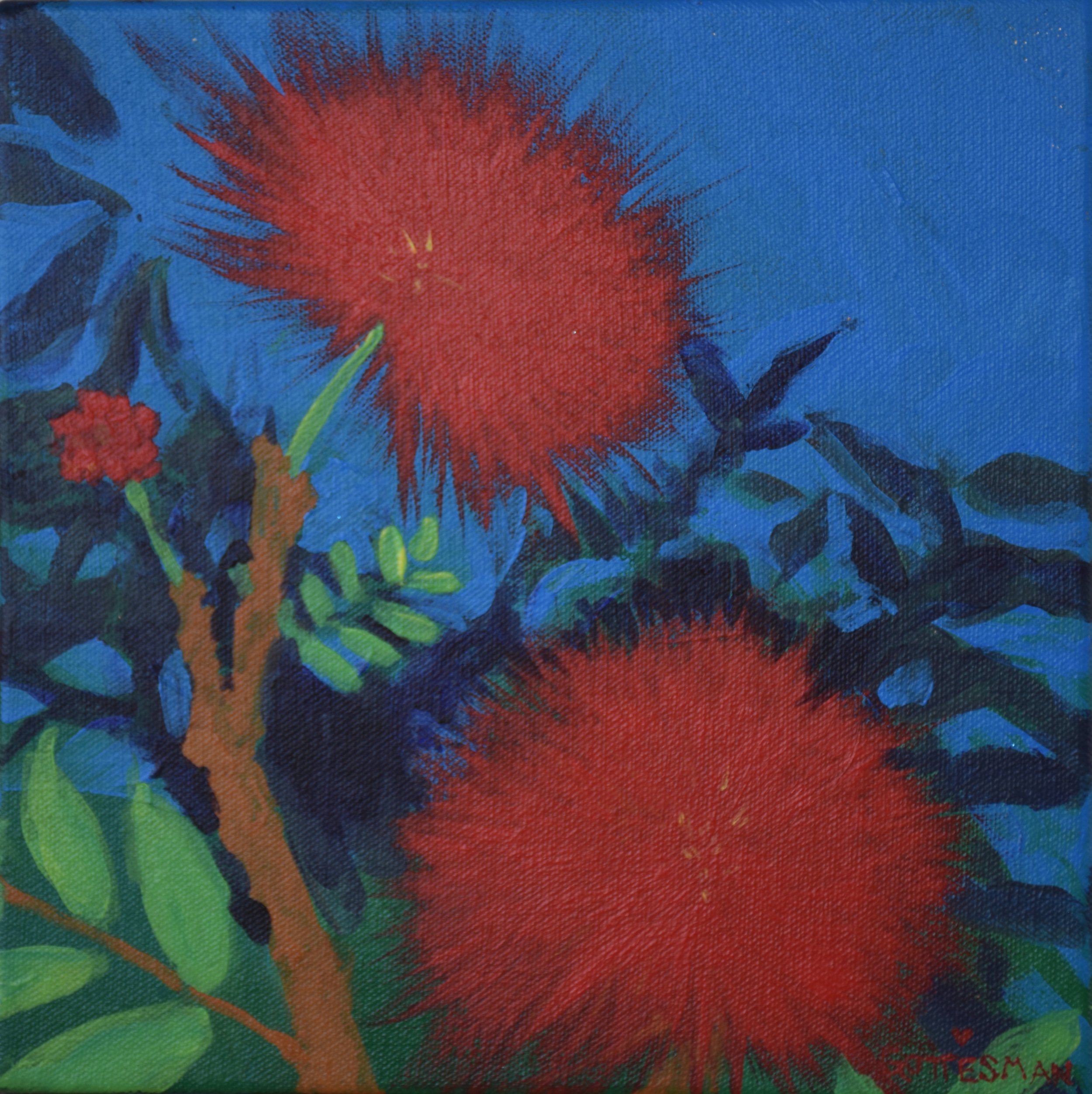Ohia Blossoms