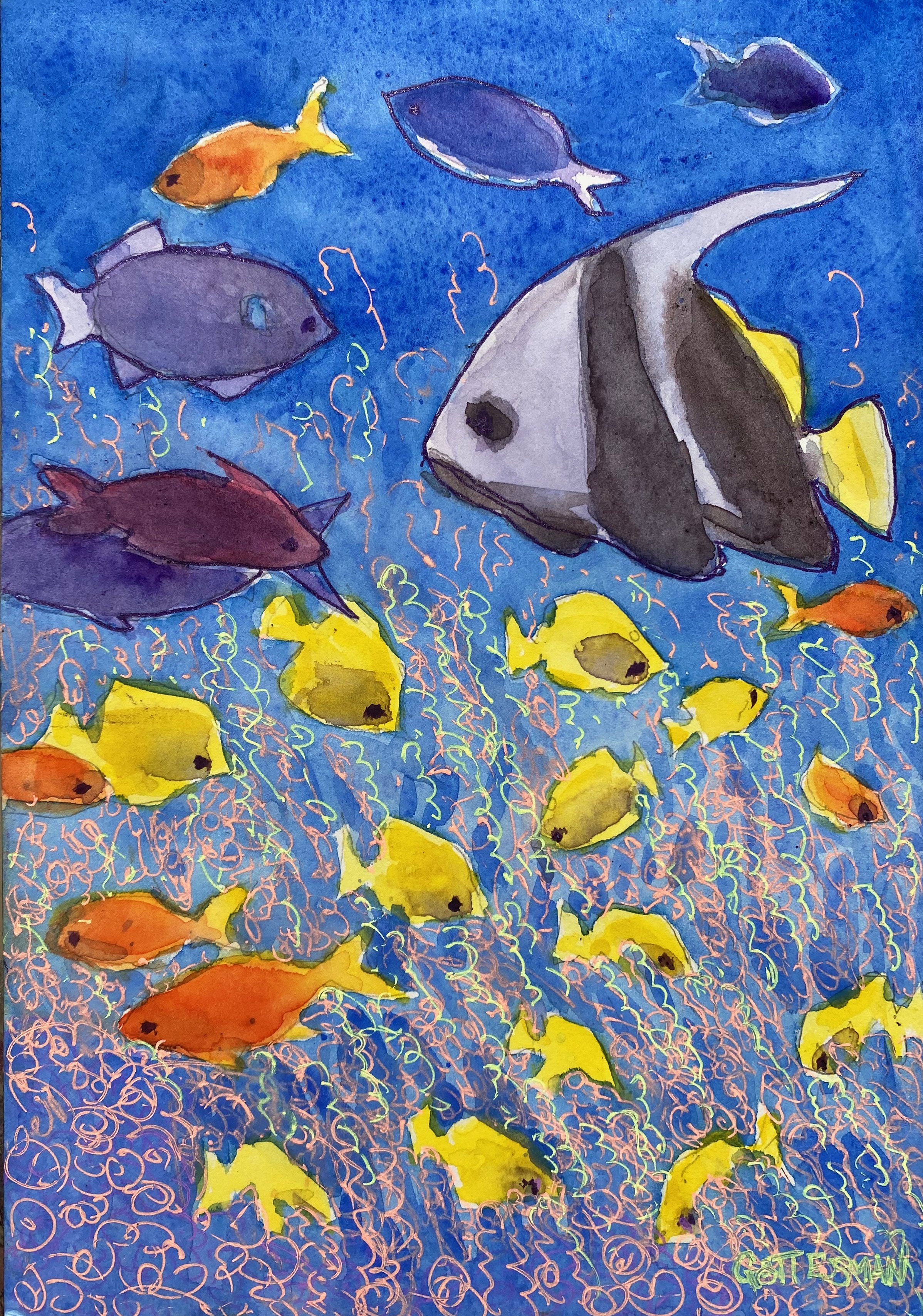 Yellow Tang-o.jpeg